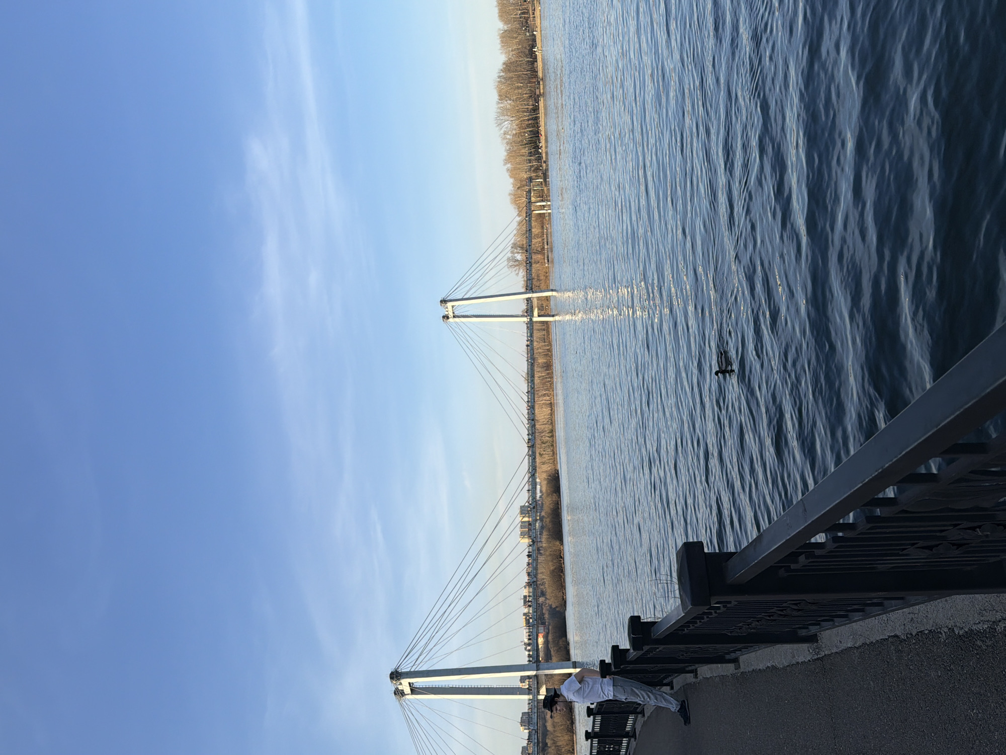 The image depicts a riverside view in Krasnoyarsk, Russia, showcasing a suspension bridge spanning the Yenisey River. A person is leaning against the metal railing of the embankment. The sky is clear blue with some light clouds. The river's surface shows ripples and reflections. Buildings and trees line the opposite bank.