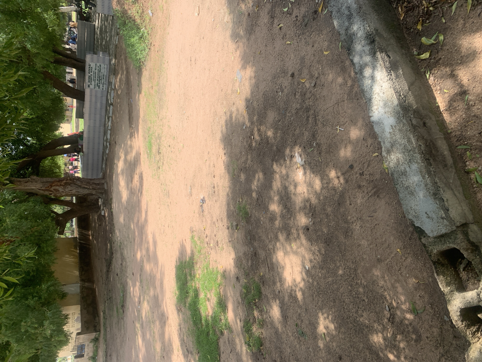 An outdoor scene in Jalingo, Nigeria, shows a dusty, open area with sparse grass patches and scattered leaves. In the background, a low, concrete wall surrounds a courtyard. A large tree with dense green foliage provides shade over a section of the area, casting dappled shadows on the ground. To the right of the tree, a long, grey stone monument with inscribed text is visible. Several individuals are present in the background, some walking, others seated on benches or the monument itself, suggesting a public space or park. The ground is covered in reddish-brown dirt, indicative of dry soil. A concrete curb runs along the bottom edge of the frame, with a hollow concrete block visible near it. The overall impression is of a moderately trafficked outdoor public space in an urban or semi-urban environment.