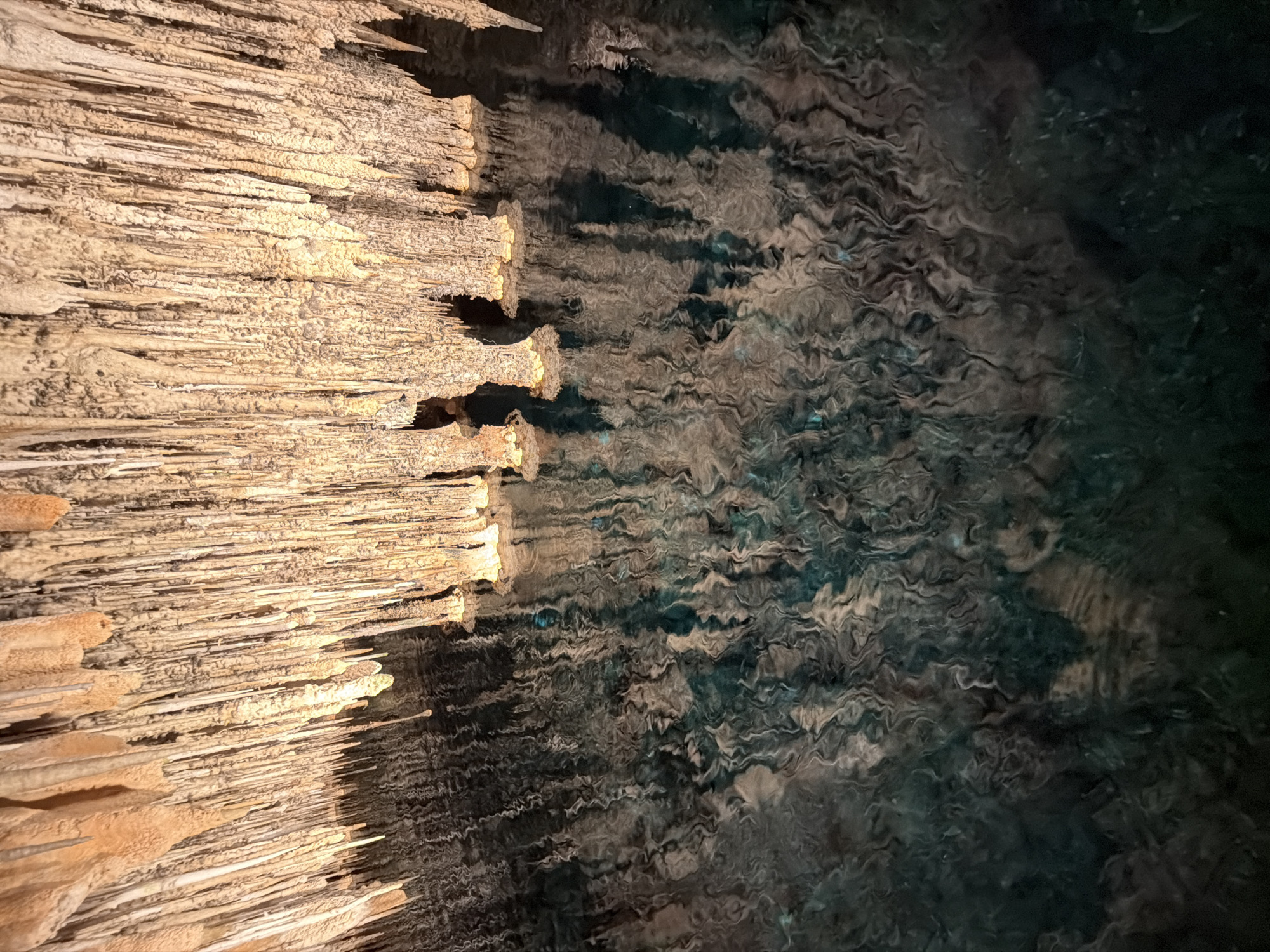 The image depicts the interior of the Caves of Drach, located in Manacor, Spain. On the left side, a dense formation of stalactites hangs from the cave ceiling. The stalactites are elongated, pale brown in color, and densely packed. Adjacent to the stalactites is a body of water, the textures of which are visible due to the lighting. The water has a dark, rippled surface, reflecting the cave ceiling and stalactites. The overall lighting in the scene is dim, emphasizing the textures and shapes of the natural formations.