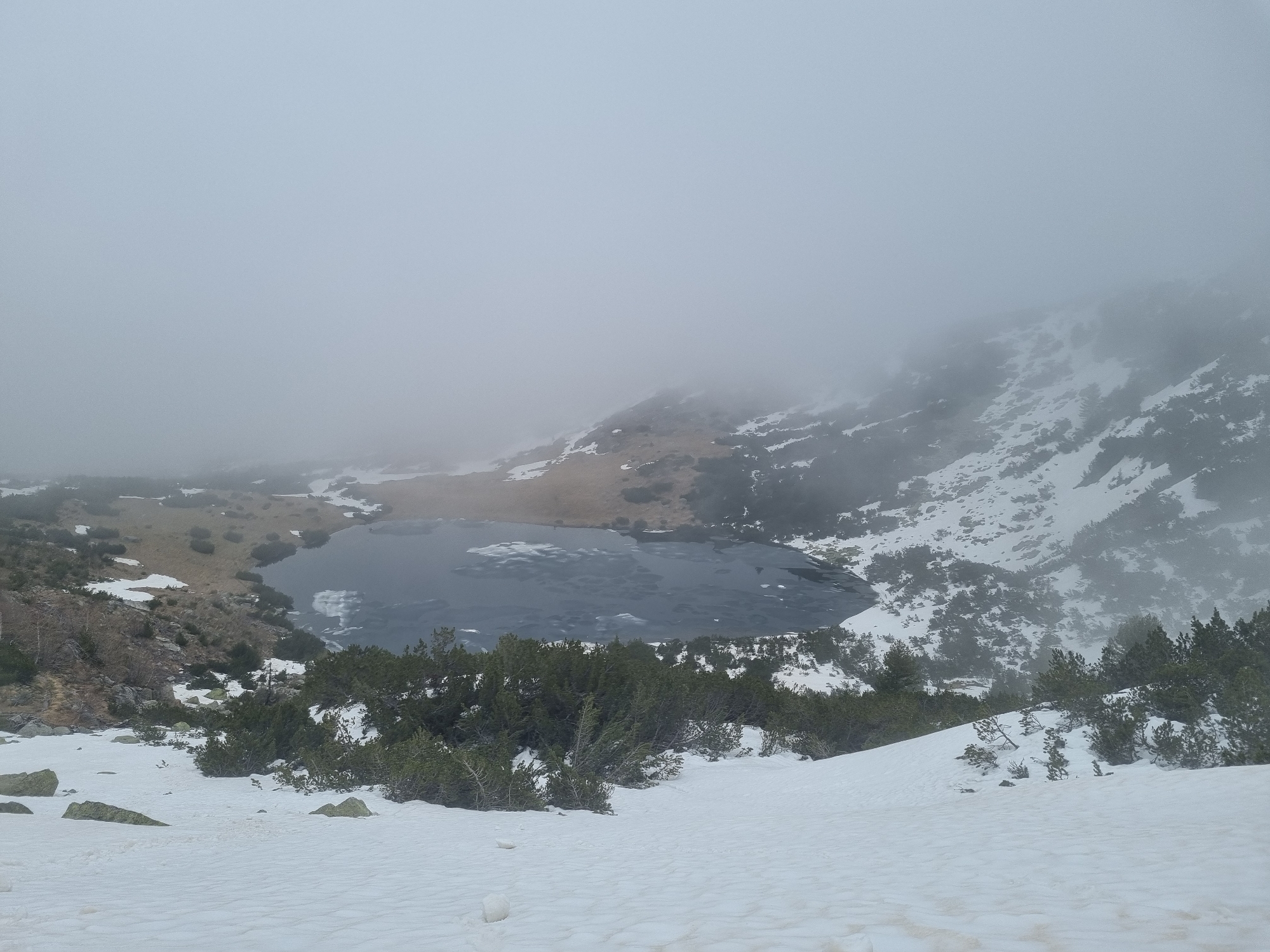 The image shows a high-altitude mountain lake partially covered with ice and snow, likely located near Govedartsi, Bulgaria. The scene is shrouded in fog or low clouds, obscuring the background. The foreground is a snow-covered slope with sparse vegetation, consisting of small evergreen trees and shrubs. Patches of snow cover the surrounding terrain, interspersed with rocky areas and alpine meadows. The lake itself appears dark and partially frozen over. The overall impression is of a cold, overcast day in a remote mountain environment.