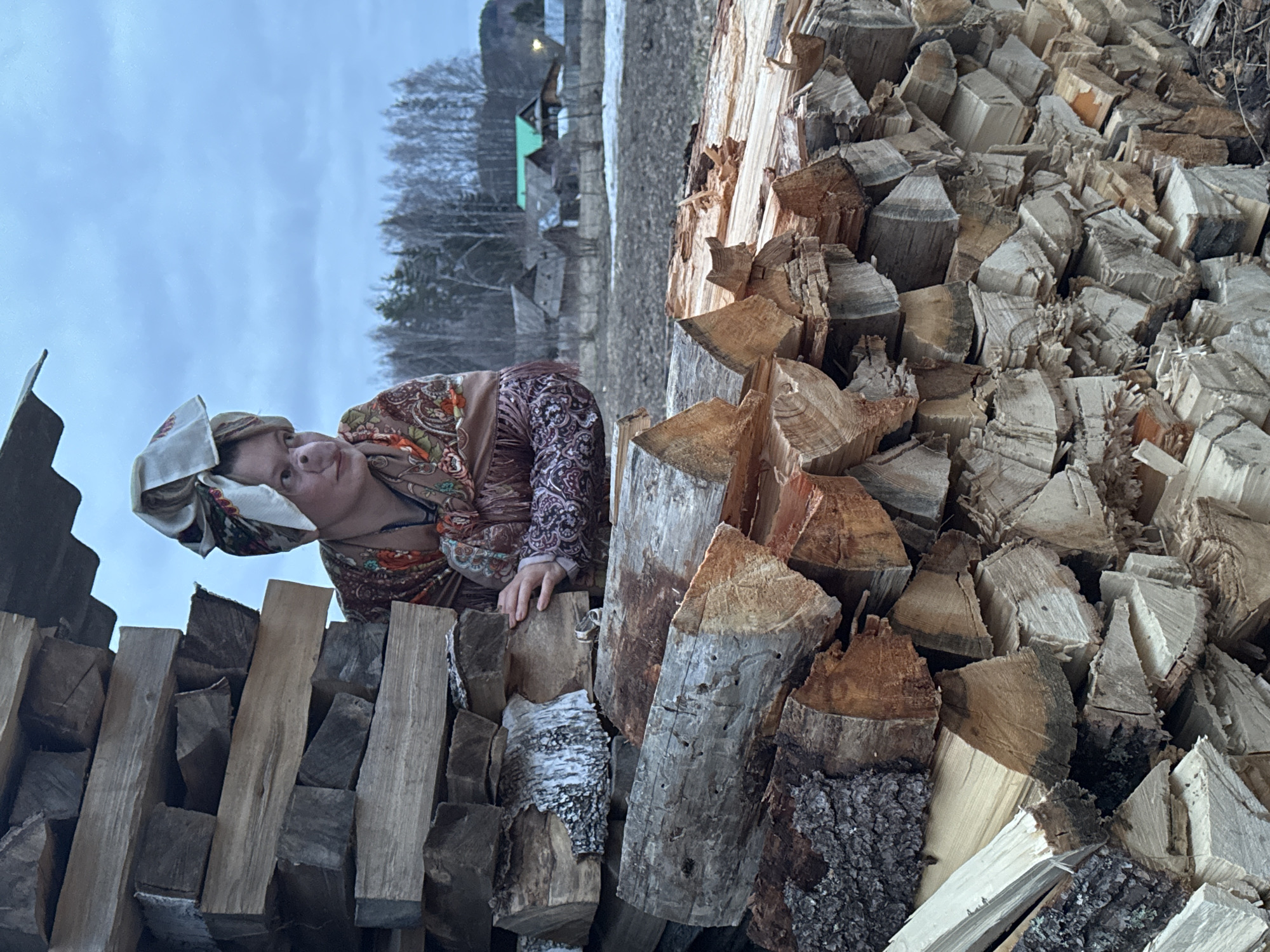 The image, originally oriented sideways, depicts a rural outdoor scene in Вассята, Russia. It features a woman peeking over a tall stack of firewood, with a backdrop of a cold, overcast landscape.
The primary subject is a woman, visible from her chest up, positioned on the left side of the frame. She wears a decorative, patterned headscarf, often referred to as a babushka, and a long-sleeved garment with a similar intricate pattern, possibly a traditional Russian outfit or shawl. She looks towards the viewer with a gentle, slightly smiling or contemplative expression, her right hand resting on the top of a wooden log.
In the foreground and mid-ground, two substantial piles of split firewood dominate the scene. The stack immediately in front of the woman is somewhat neatly arranged, while to her right, a larger, more haphazard mound of chopped logs fills a significant portion of the image. The firewood displays various textures and types, with some pieces retaining bark and others showing smooth, exposed grain.
The background reveals a sparse, rural environment. The ground appears to be a mix of bare earth and possibly mud or melted snow, suggesting either late autumn or early spring. A line of bare trees, indicative of colder weather, stretches across the middle distance. Several rustic wooden buildings are visible beyond the trees, including one with a distinct bright green roof, suggesting a village or homestead setting. The sky is overcast and a soft blue-grey, indicating either an overcast day or the soft light of dawn or dusk. There is no visible text in the image.