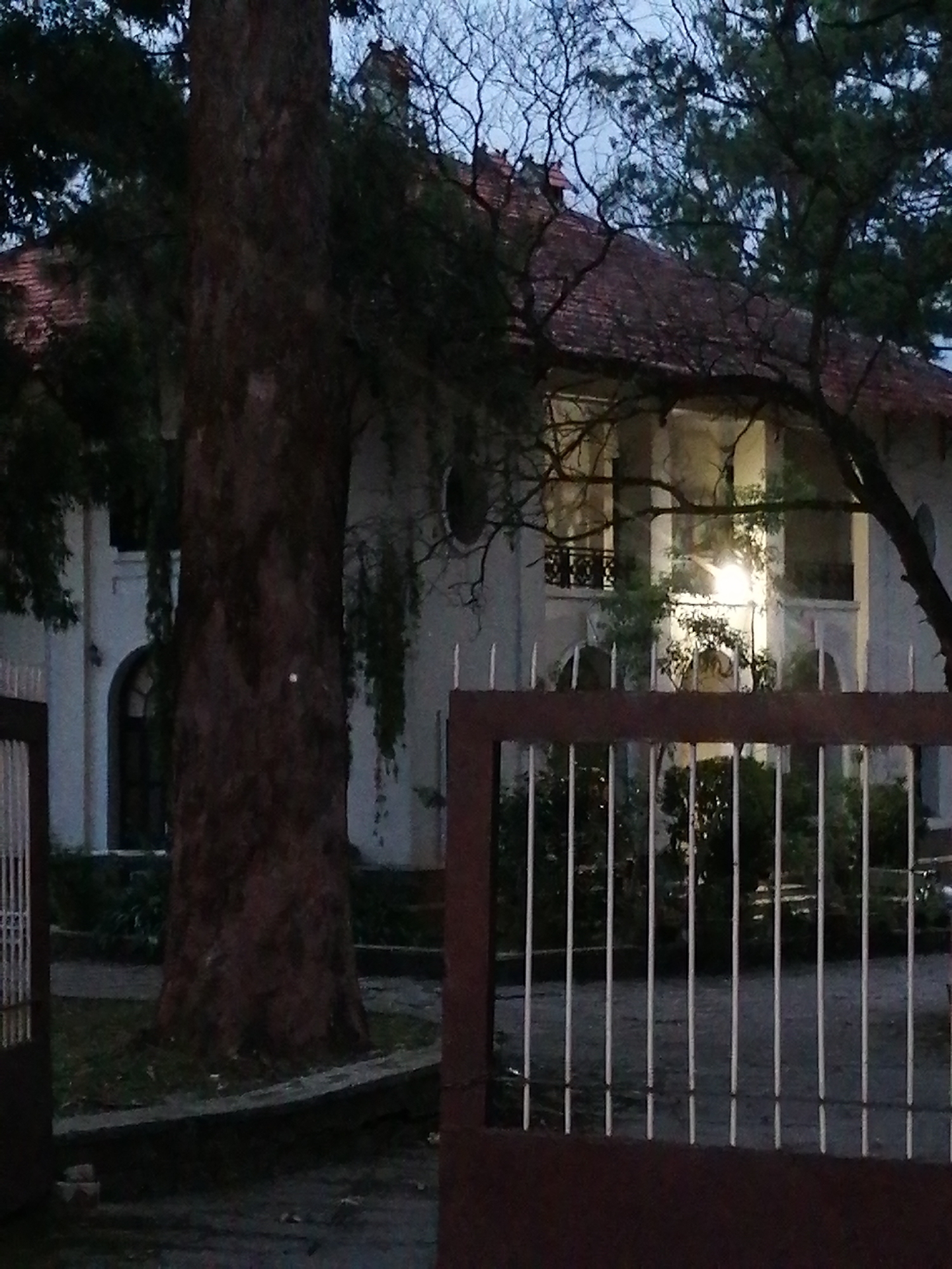 A photograph captures a dimly lit scene in front of a large, colonial-style house at dusk. A thick, dark tree trunk dominates the left foreground, partially obscuring the white-walled building behind it. The house features a red-tiled roof, arched doorways, and upper-level balconies with ornate railings. Several windows are visible, some illuminated from within, casting a warm glow. Dense foliage and trees surround the house, some of their branches stark against the pale sky. A metal fence, with vertical white bars and a dark brown top frame, runs across the bottom of the image, partially obscuring the yard which consists of grass and a paved walkway. The overall atmosphere is one of quietude and shadow. The location is identified as the city of Lâm Viên - Đà Lạt, Vietnam, a place known for its French colonial architecture and lush landscapes.