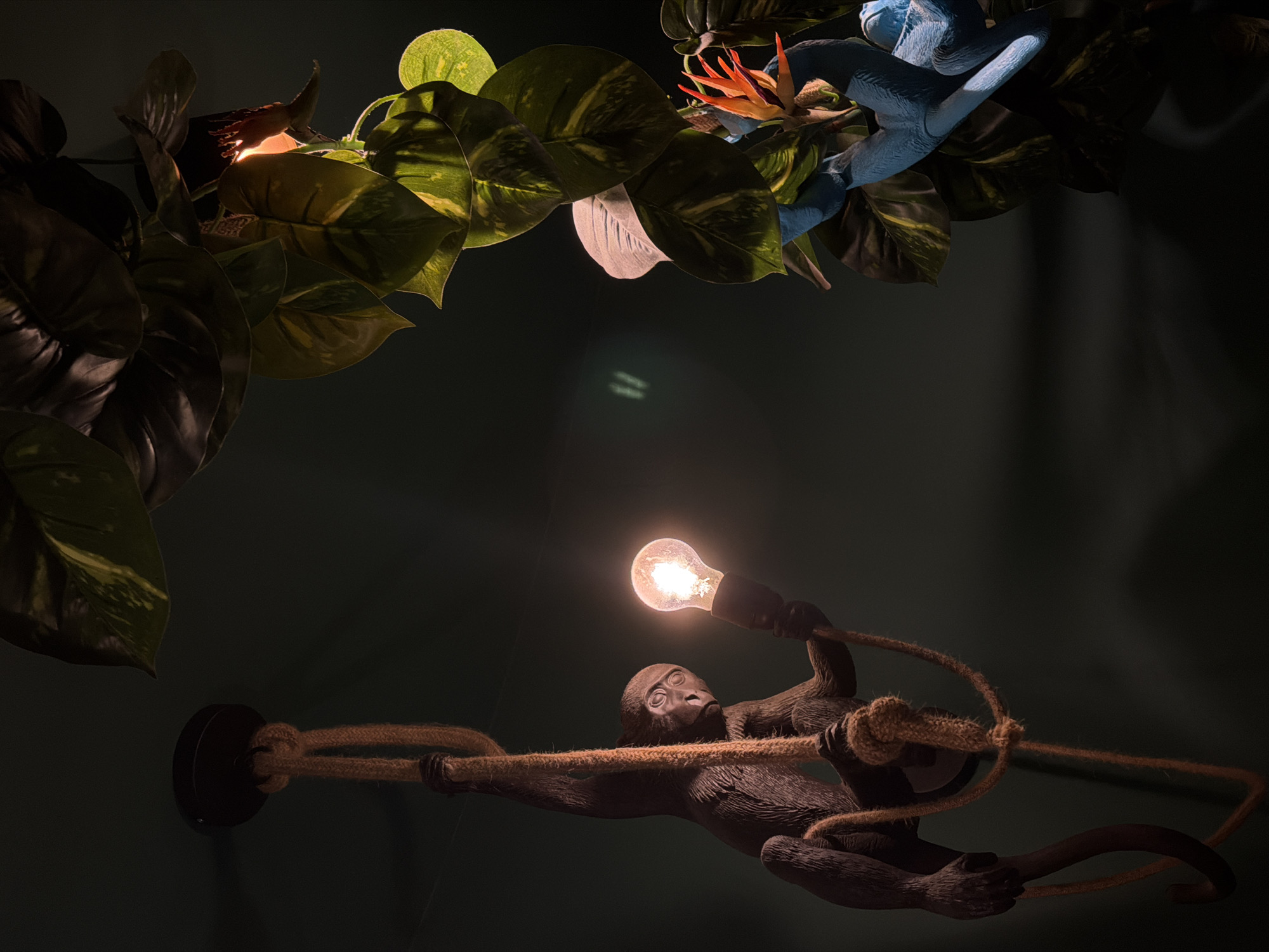 The image depicts an indoor scene with a dark, jungle-like ambiance. Artificial foliage, including pothos leaves and a bird of paradise flower, adorn the upper portion of the frame. A novelty monkey lamp, suspended from the ceiling, is a prominent feature. The lamp consists of a monkey figurine holding an illuminated Edison-style light bulb. The lamp's power cord is wrapped in rope. The photograph was taken in the city of Varna, Bulgaria.