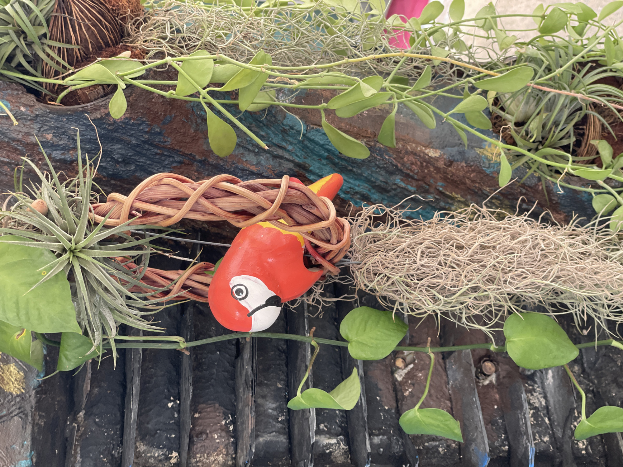A close-up, vertical, eye-level shot shows a decorative ceramic parrot, painted bright red with white and black facial markings, hanging from a woven vine structure. The parrot is nestled among various plants, including air plants with spiky, grey-green leaves and trailing vines with small, heart-shaped green leaves. To the left of the parrot, a dark, textured surface, possibly weathered stone or painted wood, is visible, with horizontal steps or ledges. The background is a mix of earthy tones, blues, and browns, suggesting a rustic or naturalistic outdoor setting. Hanging moss-like plants with fine, pale tendrils are also prominent in the foreground and to the right. The image is devoid of people and any discernible activity. The location is identified as Pattaya City, Thailand, based on the context provided.