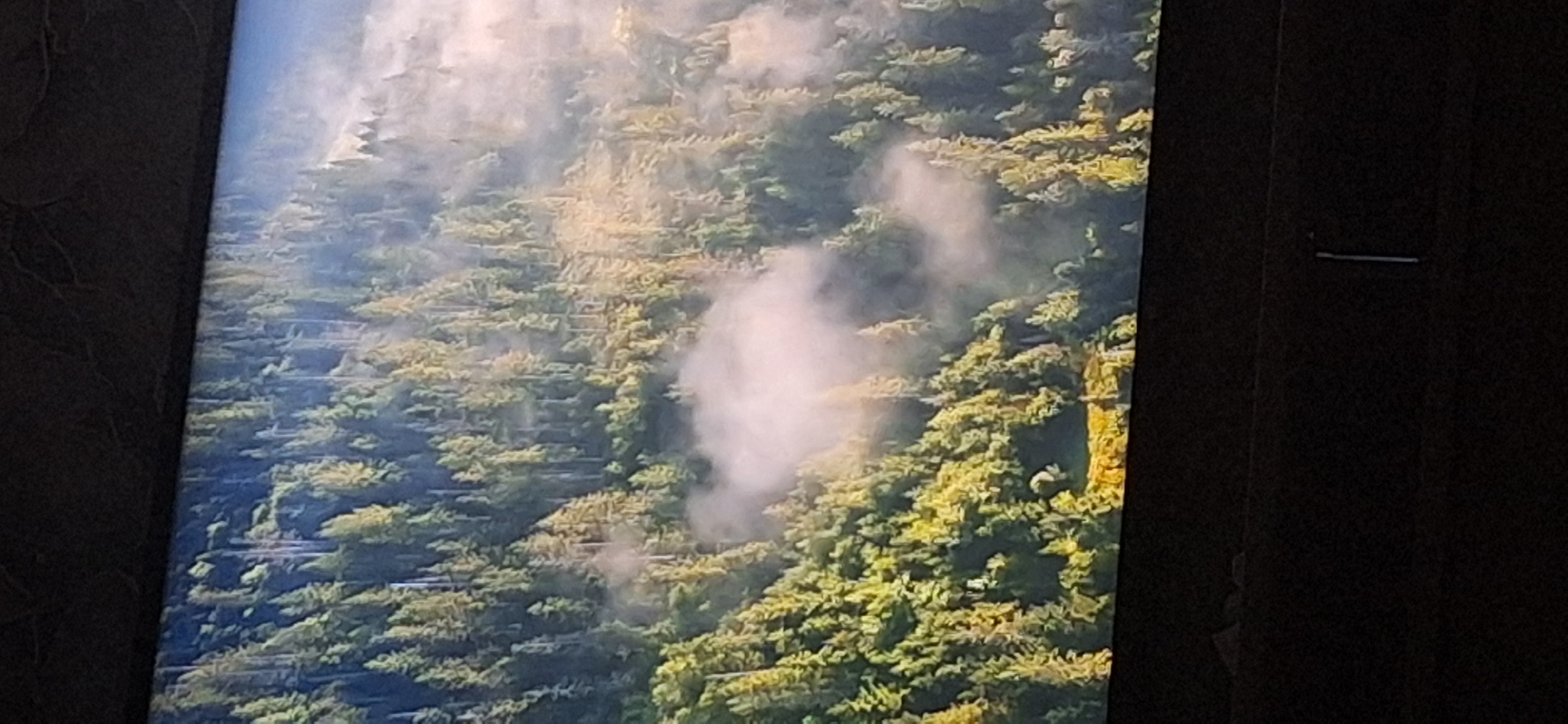 The image shows a dense forest on a mountainside, with mist swirling amongst the trees. The sun is shining through the mist, creating a bright, ethereal atmosphere. The trees are predominantly evergreen, with varying shades of green and some yellow foliage. The terrain appears steep and rugged. The bottom portion of the image is dark and out of focus, obscuring any details of the foreground or potential human presence. There is no discernible connection to the city of Bila Tserkva, Ukraine, as the scene depicts a natural, undeveloped landscape.