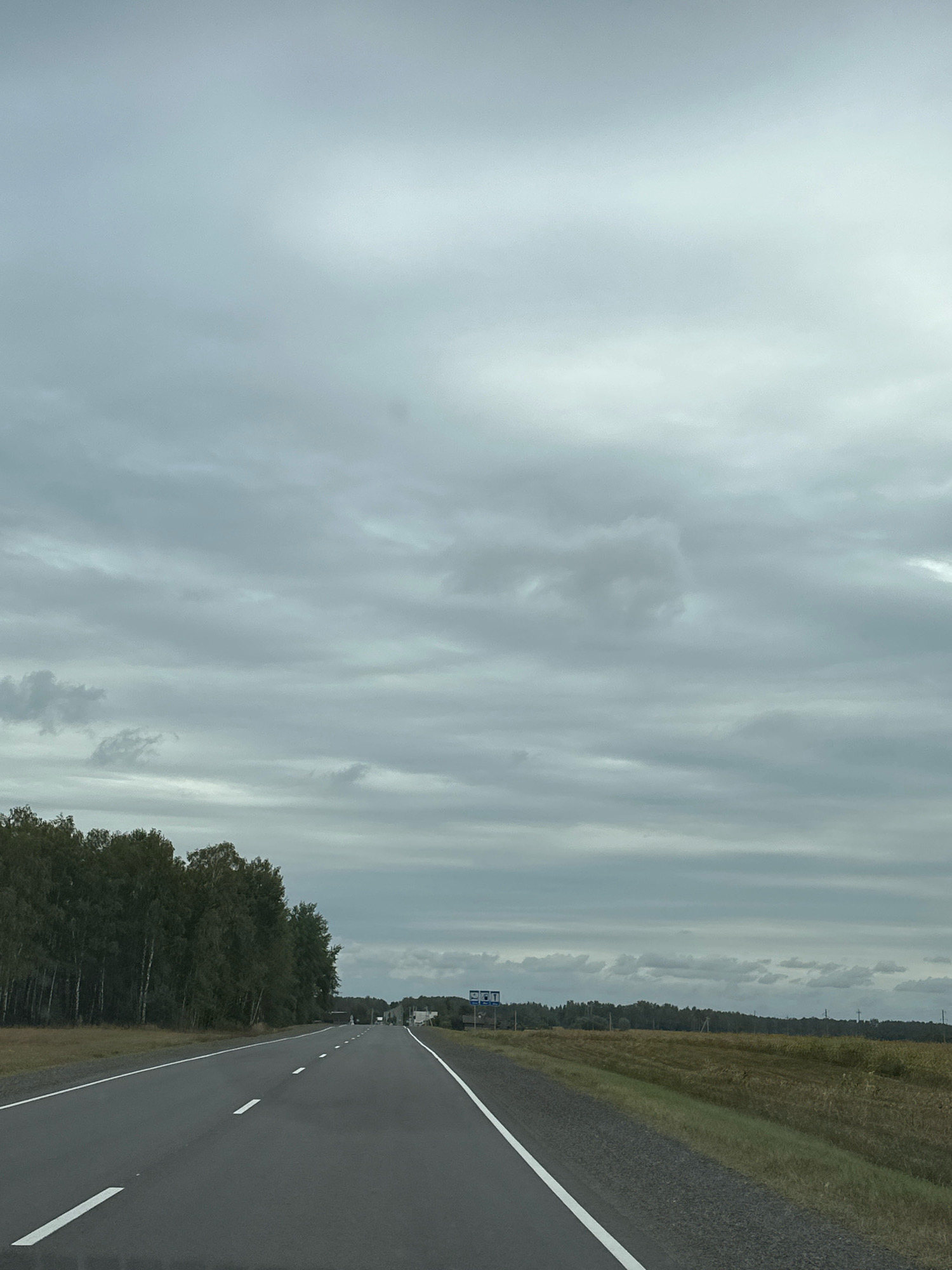 The image captures a road in the vicinity of Чыркавіцкі сельскі Савет, Belarus, on an overcast day. The road stretches into the distance, with white dashed lines marking its lanes. To the left of the road, a dense line of trees forms a dark green barrier, their foliage appearing lush. To the right, a field of dry grass, varying in color from golden to brown, extends towards the horizon. In the far distance, a line of trees marks the edge of the field. The sky is filled with layers of grey clouds, obscuring any direct sunlight and casting a muted light over the landscape. There are no visible people or vehicles in the frame.