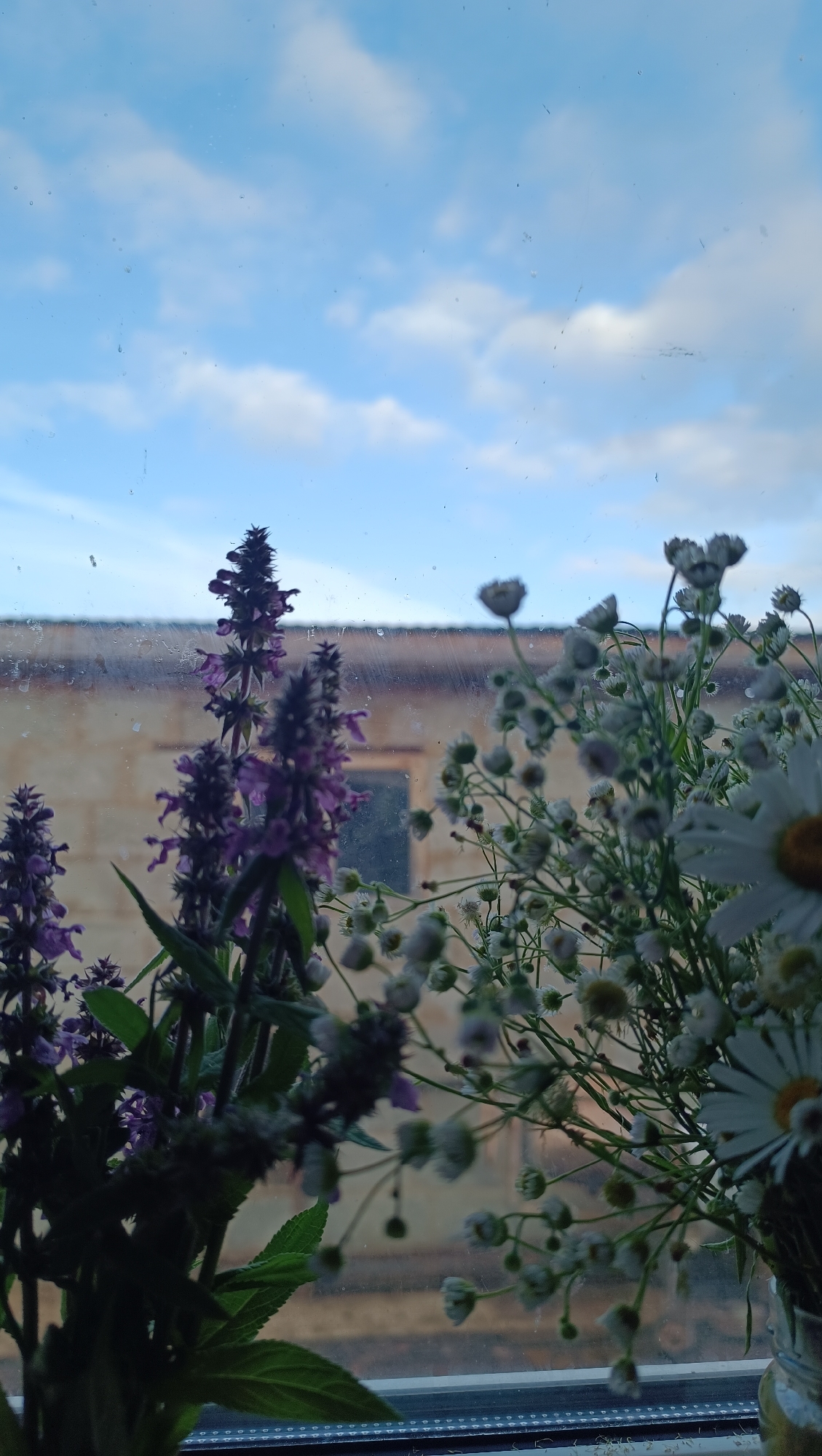 A bouquet of purple salvia and white baby's breath flowers is positioned on a windowsill, with a blurry building and sky visible through a dirty windowpane. The bouquet is composed of several stalks of purple salvia flowers, which are tall and spiky, and smaller clusters of delicate white baby's breath flowers. The background shows a muted brown building with a single dark rectangular window. The sky above is a light blue with scattered white clouds. The overall scene is dimly lit, suggesting it was taken at dusk or dawn. The image does not depict any people or indicate a specific location in the city of Karsha, Russia.