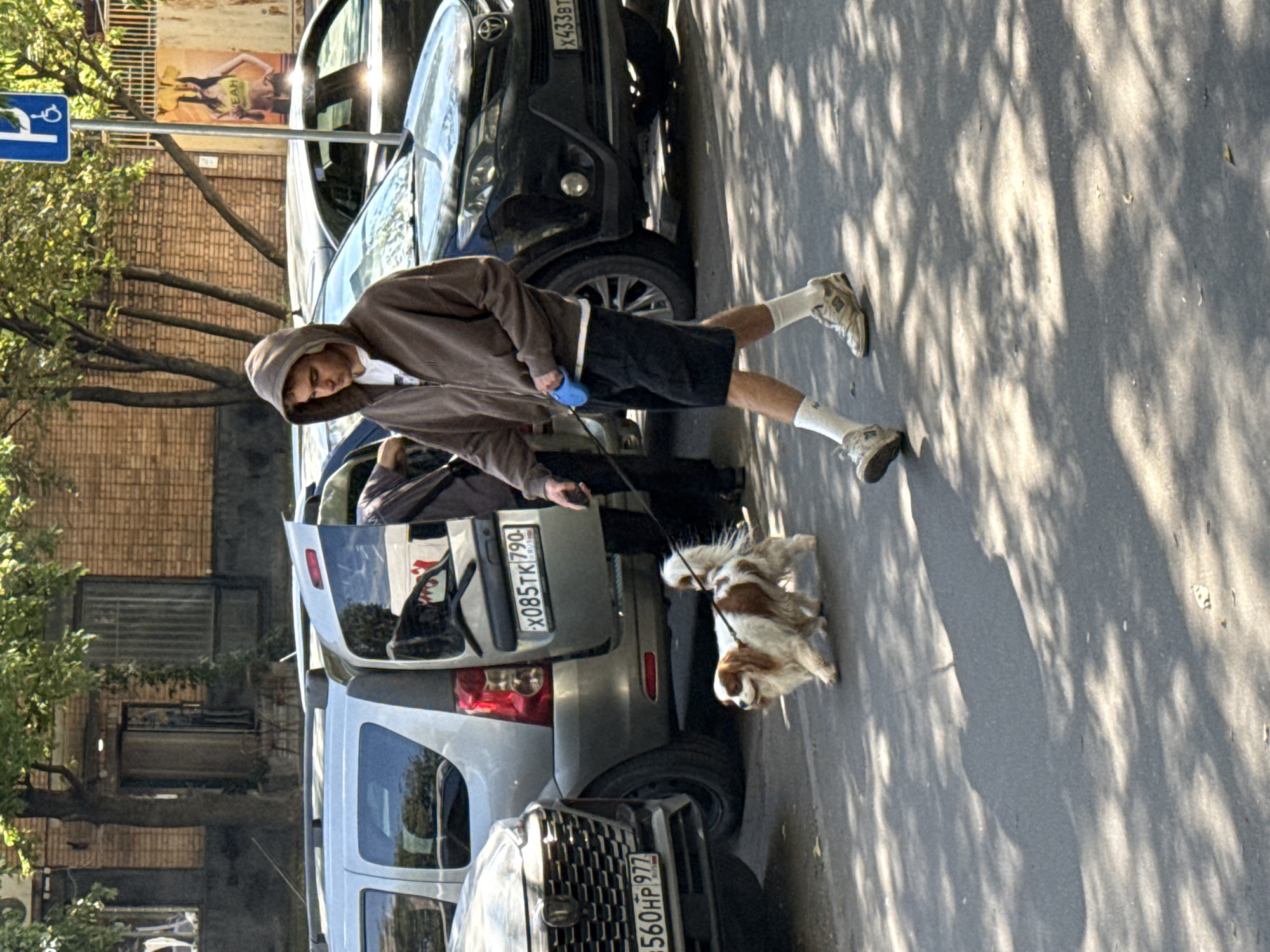 A young man in a brown hooded sweatshirt, black shorts, white socks, and sneakers is walking a small, tan and white dog on a leash. The man is holding a blue object, likely a dog treat dispenser, in his left hand. The dog is walking in front of him, looking to its left. The scene takes place on a paved surface, likely a sidewalk or street, with shadows of trees falling across it. In the background, there are several cars parked, including a silver SUV with its rear hatch open. A black car is parked behind the SUV. The buildings in the background are made of brick. A blue parking sign with a wheelchair symbol is visible on a pole to the right of the frame. The license plates of the cars are visible and appear to be Russian. The overall impression is a casual urban scene.