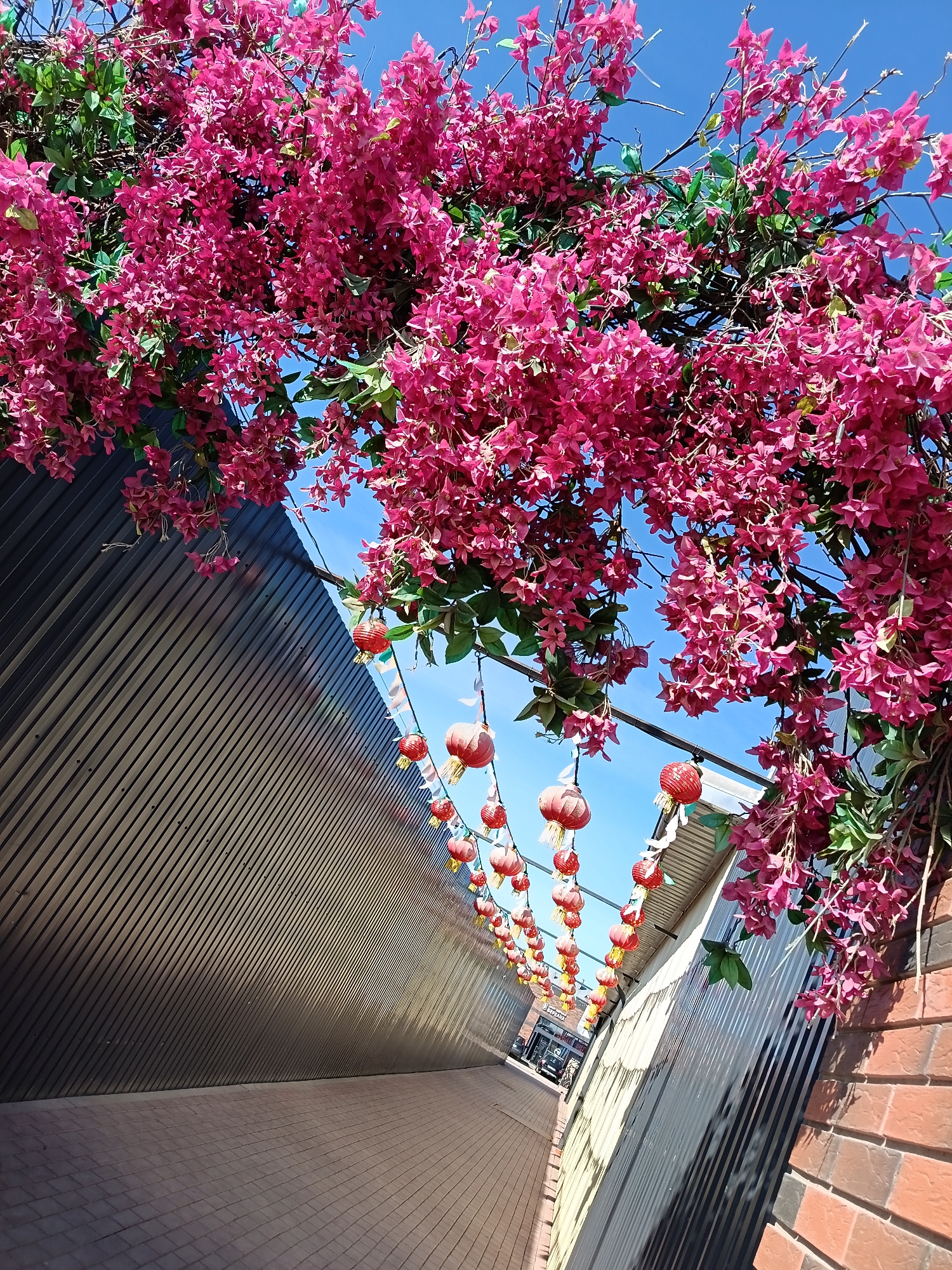 The image shows a narrow alleyway in Osa, Russia, adorned with strings of red Chinese lanterns. The alley is framed by buildings with varying facades; one side features dark, corrugated metal siding, while the other shows lighter metal panels and brickwork. The walkway is paved with small rectangular tiles. Above, a canopy of bright pink bougainvillea-like flowers casts shadows and adds a vibrant contrast to the urban environment. The clear blue sky peeks through the foliage and above the lanterns.