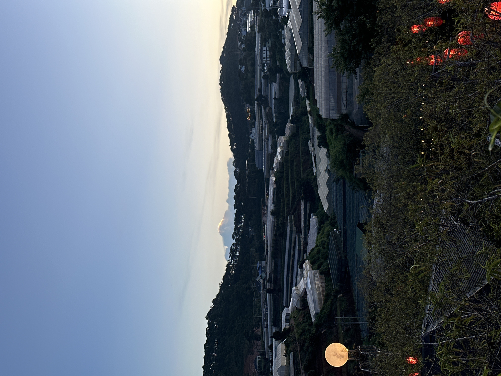 This media file depicts a nighttime scene in Lộc Quý, Vietnam. The dominant subjects are a landscape and a sky. The landscape features a densely forested hillside covered in greenhouses. Red lanterns hang from trees in the foreground, illuminated and casting a warm glow. Small, bright lights are also strung along the branches of the trees. In the bottom right of the frame, a bright, full moon is visible, appearing large and close in the sky. The overall mood is serene and magical. The time of day is clearly nighttime, indicated by the darkness and the artificial lights. There are no visible people or text in the image.