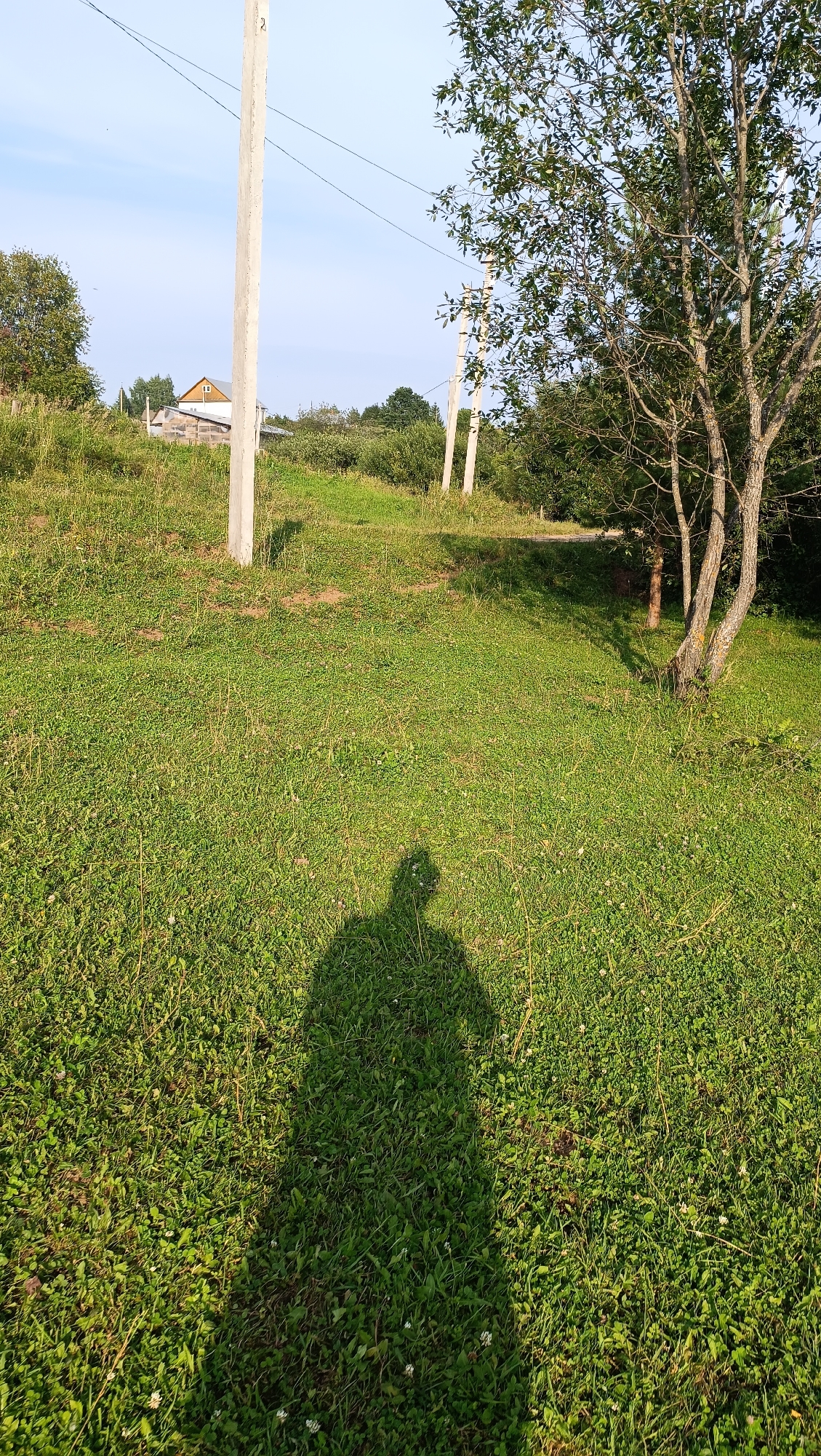 The image shows a grassy field with several utility poles and trees under a clear blue sky. In the foreground, a shadow of a person is cast on the grass, indicating the presence of a photographer or an individual standing in the sunlight. The field appears to be in a rural or semi-rural setting, possibly on the outskirts of a settlement, given the presence of utility poles that suggest a connection to infrastructure. In the background, a building with a light-colored roof is visible amidst greenery, and more trees and vegetation line the horizon. The overall scene is one of a daytime outdoor environment, likely a natural or semi-natural landscape.