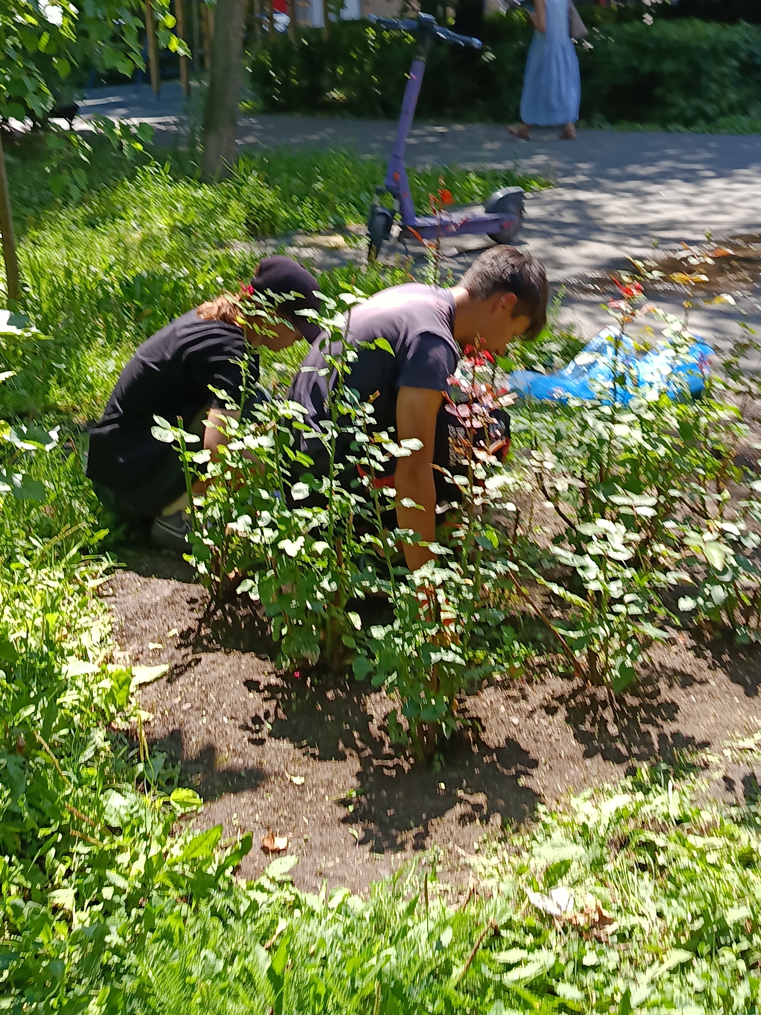 Two individuals are tending to rose bushes in a city park or garden, with green grass and trees in the foreground and background. One person, wearing a black t-shirt and dark pants, is kneeling and appears to be working with the plants. The other person, also in dark clothing, is bent over, also engaged with the rose bushes. In the background, a purple electric scooter is parked near a paved walkway, and a person in a light blue dress is walking away from the camera. The scene suggests a public space in Saratov, Russia, likely during daylight hours given the lighting and shadows.