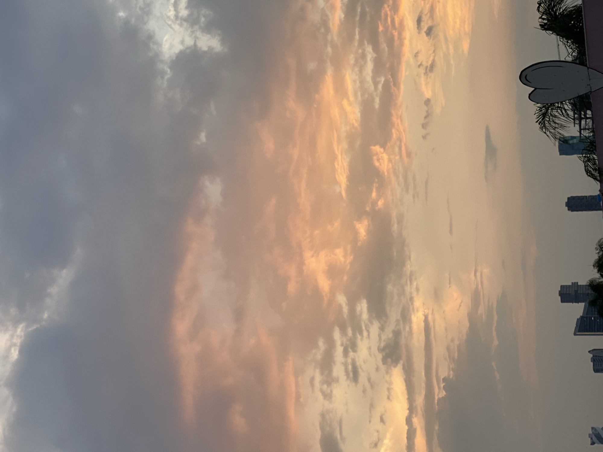 The image depicts a sky at dusk, filled with elongated clouds illuminated by the setting sun, casting a warm orange and yellow glow. To the right, partially obscured by palm fronds, are the silhouettes of several high-rise buildings, indicating an urban location. The photo appears to be taken from a high vantage point. The scene does not show any people, actions, or interactions. The details are not enough to ascertain the exact location in the city of Puebla, Mexico.