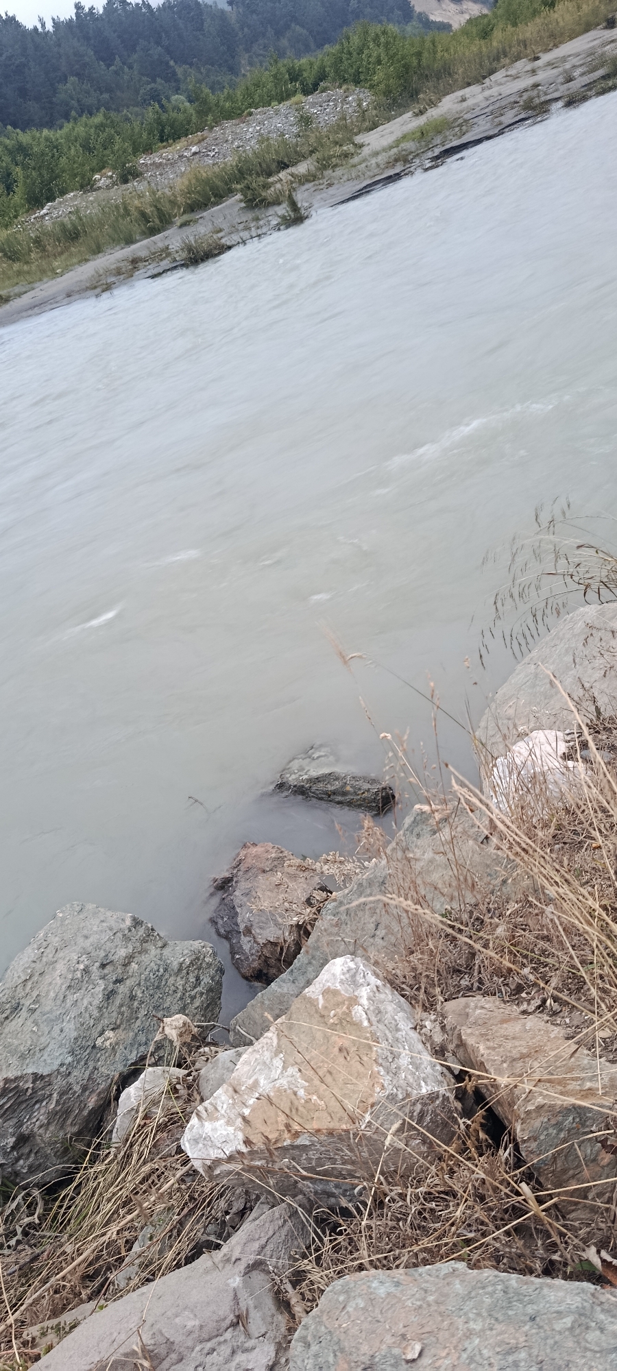 This image depicts a riverbank scene in Teberda, Russia. The foreground is dominated by large, weathered rocks and dry grass, suggesting a natural, untamed environment. The river itself is a prominent feature, appearing wide and somewhat murky, with visible ripples and currents indicating it is flowing. In the background, a densely wooded hillside rises, covered in evergreen trees. The overall impression is one of a serene, natural landscape, possibly in the foothills of the Caucasus Mountains, given the location. There are no people or animals visible in the image.