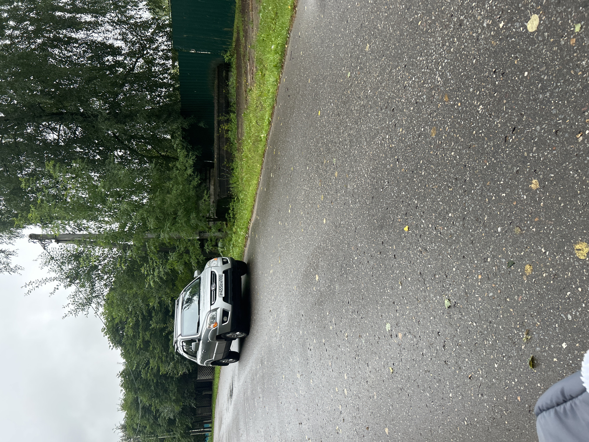 The image shows a silver Kia Sportage SUV parked on a wet, asphalt road. The car has a license plate with the characters "P455EH 550". The scene appears to be in a rural or suburban area, with a line of lush green trees on the left side of the road and a dense green fence on the right. A utility pole is visible next to the car. The sky is overcast, suggesting a cloudy or rainy day. The road surface is reflective due to moisture. A small portion of a gray baby stroller is visible in the bottom left corner of the image. The image is likely taken in the village of Kalitsino, Russia, as indicated by the license plate's region code "550", which corresponds to the Omsk Oblast, where Kalitsino is located.