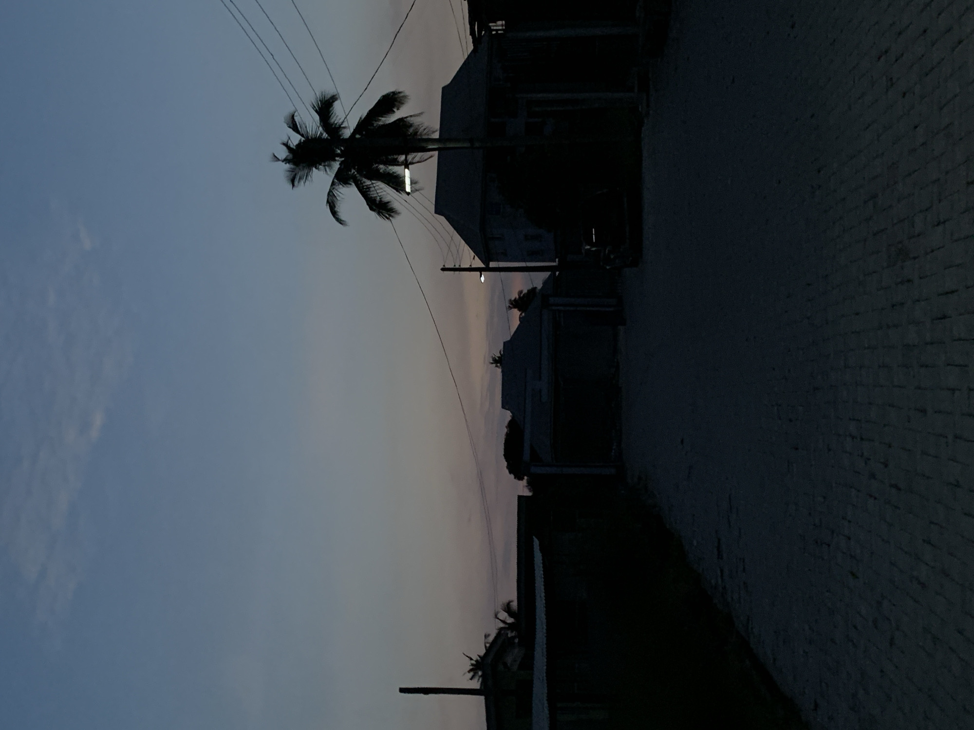 This outdoor scene captures a quiet moment at either dusk or dawn, set against a sky that transitions from a dark blue-grey overhead to a lighter, subtle pink and orange gradient towards the horizon. A few faint cloud wisps are visible in the upper sky.
Prominently featured on the left is a tall palm tree, silhouetted against the fading light, its fronds clearly defined. Several power lines stretch across the upper part of the image, connected to utility poles that punctuate the scene.
In the mid-ground, buildings are visible in dark silhouette on the right side, suggesting residential or local structures, their architectural details obscured by the low light. A single, brightly illuminated street light hangs near the center, providing a focal point and a soft glow, with another smaller light discernible further along.
The foreground on the right reveals a paved road or pathway, textured with what appears to be bricks or cobblestones, extending into the distance. A low, dark wall or fence runs parallel to the road along its left edge. No people or specific activities are visible, contributing to a peaceful and still atmosphere. The setting suggests a populated area, characteristic of a town or village in Ibasa, Nigeria, experiencing the tranquil transition between day and night. There is no visible text.
