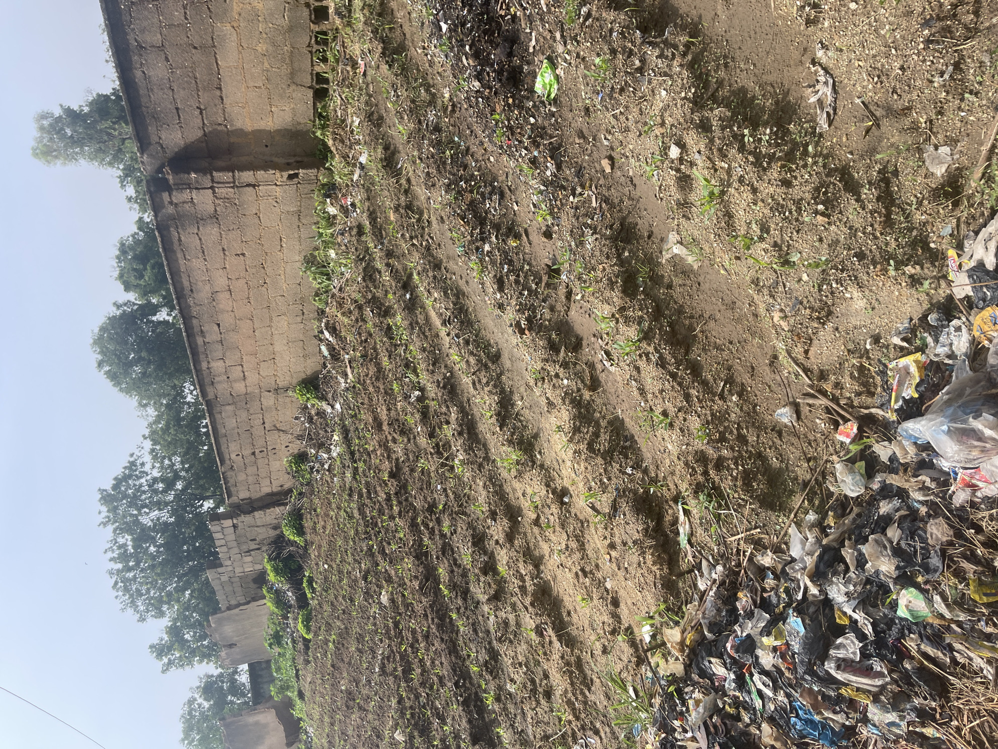 The image depicts an agricultural field with rows of young plants growing in tilled soil. The field is situated on a slope with a brick wall forming a boundary in the background. A pile of trash, consisting of plastic bags and other debris, is visible in the foreground on the left side of the image, and scattered throughout the field. Trees are seen beyond the brick wall. The scene appears to be outdoors in a rural or semi-rural area. The location is identified as Rafin Par, Nigeria.