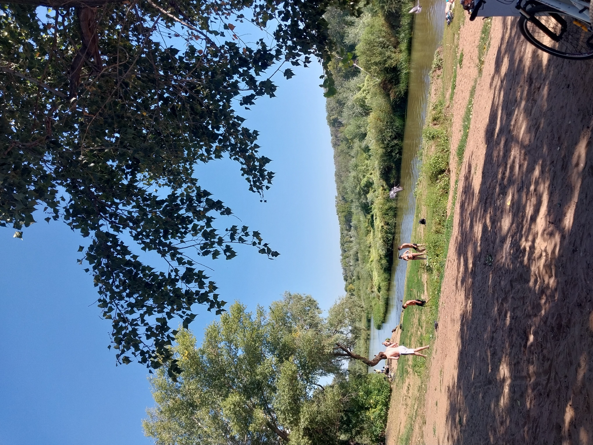 The image depicts a sunny day scene by a river, possibly in Orenburg, Russia. A sandy embankment occupies the foreground, with dappled sunlight filtering through the leaves of a large tree. In the middle ground, a group of people are gathered near the water. One person, wearing white shorts, stands on the sandy bank. Several other individuals, some in swimwear, are visible near the river's edge. The river itself is calm and reflects the clear blue sky. Dense green foliage lines the opposite bank, forming a lush backdrop. In the foreground on the right, the wheel of a bicycle is visible, suggesting recreational activity. There are birds flying over the water and several are perched on the river bank.