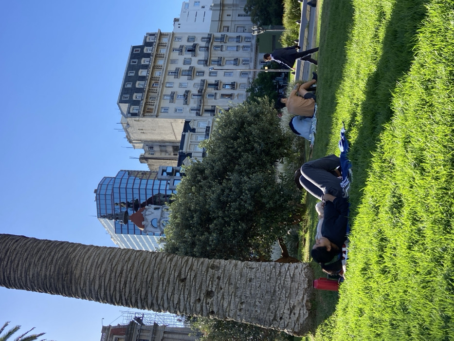 People gather on a grassy lawn under a bright sky. Some sit casually, while one lies down. A palm tree trunk dominates the foreground, contrasting with the cityscape behind. Buildings of varying heights and architectural styles form the backdrop, including one with mirrored glass reflecting the sky. A pedestrian in a dark suit walks by in the distance.