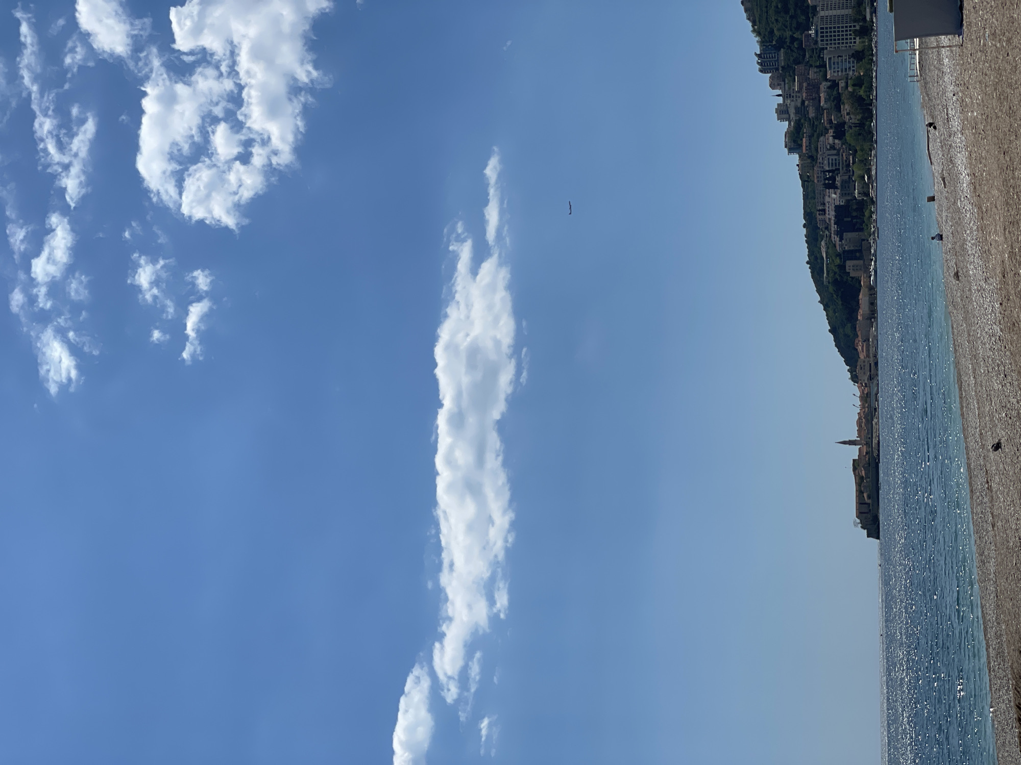 The image displays a serene coastal landscape under a bright, clear blue sky. Numerous white, fluffy cumulus clouds are scattered across the upper portion of the frame, with one prominent, elongated cloud stretching vertically through the center. A small, dark silhouette of a bird in flight is visible high in the sky.
On the left side, a lush, green hillside covered in dense vegetation, primarily trees, slopes down towards the sea. The hillside is dotted with a multitude of buildings, including modern apartments and hotels, indicating a developed urban or resort area. The vibrant blue sea occupies the middle ground, shimmering with sunlight reflecting off its calm surface. Further along the coastline, a cluster of older buildings with a distinct, tall spire or bell tower rises above the water, strongly suggesting the historic Budva Old Town.
To the right, a wide pebble or gravel beach extends along the shoreline. A few indistinct dark shapes and a small white structure, possibly beach furniture, can be faintly seen on the beach. The bright sunlight and clear skies suggest a pleasant, sunny day, likely during the morning or afternoon. The scene conveys a tranquil atmosphere, showcasing a blend of natural beauty and coastal development. There is no visible text in the image.