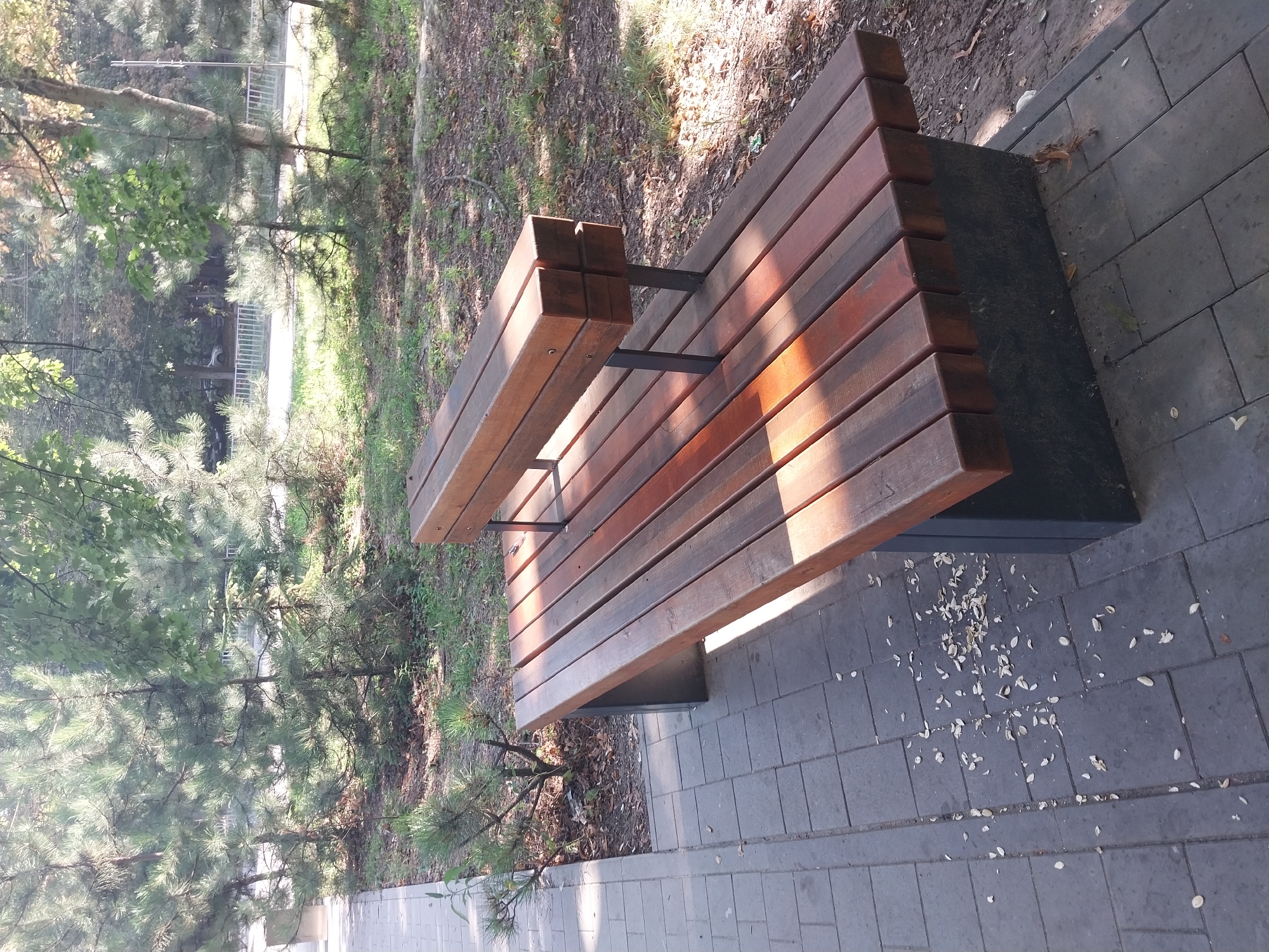 The image shows a modern, multi-level wooden bench in a park-like setting. The bench is made of parallel wooden slats, with a lower, wider bench and a slightly raised, narrower bench on top. The bench has dark gray concrete bases. The ground next to the bench is paved with rectangular gray tiles, with some scattered light-colored debris, possibly leaves or bark, on the tiles. Behind the bench is a dirt area with grass and fallen leaves, and several pine trees and other greenery. In the background, beyond the trees, there is a white metal fence, a road, and a few parked cars. The sunlight casts strong shadows on the bench and the ground. The scene is consistent with a public park area.