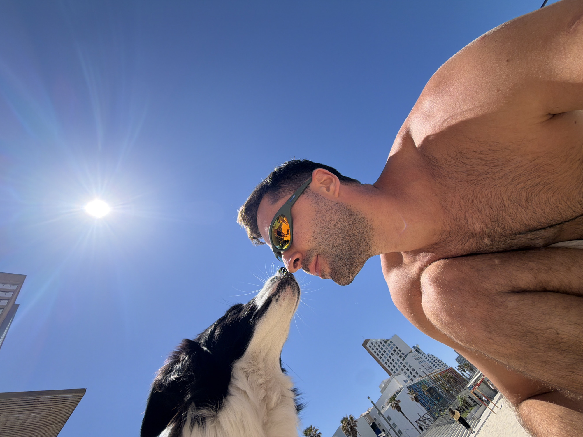 A low-angle shot captures a man and a black and white dog in a moment of affection, touching noses under a bright blue sky. The man is shirtless, with stubble, and wears green mirrored sunglasses that have "goodr" visible on the temple. His reflection in the lenses shows the bright sky. He is crouched towards the dog, whose head is tilted upwards, featuring white fur on its snout and chest.
The scene is set outdoors on a sunny day with a clear, intense blue sky. The sun is prominently visible in the upper left of the frame, casting a strong glare and bright rays, suggesting midday or early afternoon. In the background, tall modern buildings and palm trees indicate an urban coastal environment, consistent with Tel-Aviv, Israel. Portions of a beach or paved walkway are visible towards the bottom right. The image conveys warmth and a strong, loving bond between the man and his dog.