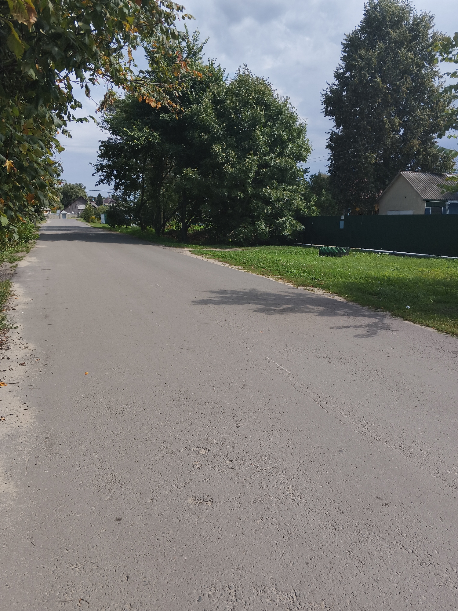 The image depicts an asphalt road winding through a semi-rural or suburban area, likely in Mokshan, Russia. Large, mature trees with dense green foliage line both sides of the road. On the right side of the road, a dark green metal fence encloses a grassy area with a few scattered objects, including what appears to be a coiled green hose or pipe. Beyond the fence, a portion of a light-colored house with a gray shingled roof is visible. The sky above is partly cloudy with a mix of white and gray clouds. The road itself appears to be in moderate condition, with some cracks and unevenness visible in the asphalt. The overall scene suggests a quiet, residential street on a daytime, possibly late summer or early autumn day, given the greenness of the leaves with a hint of early autumnal color on some branches.