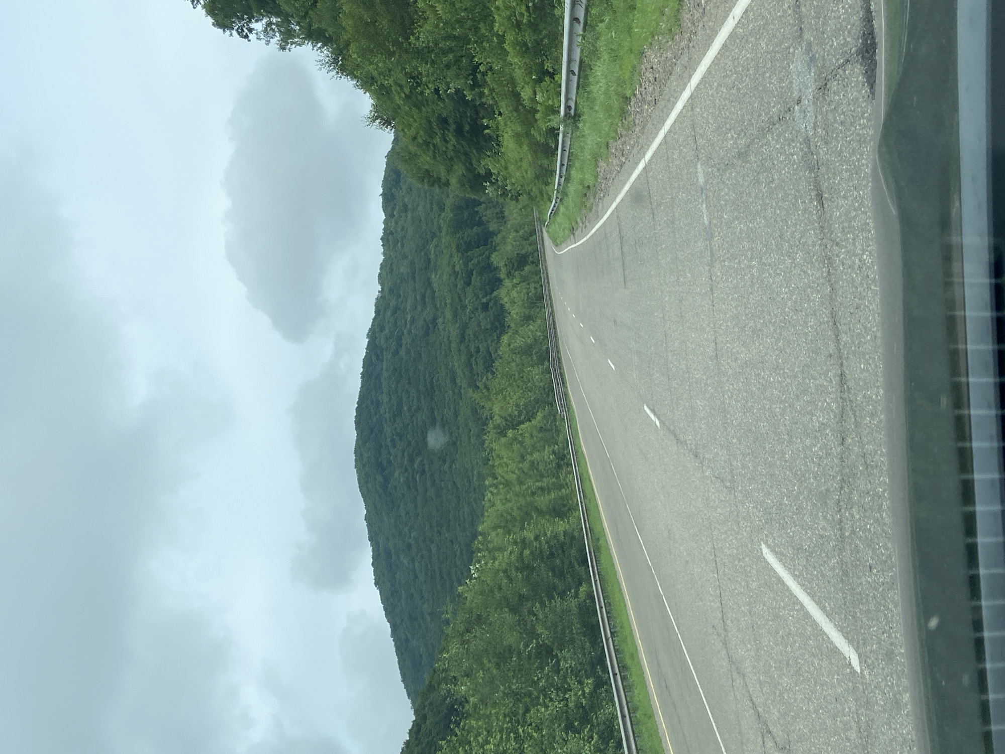 The image depicts a two-lane asphalt road winding through a heavily wooded, hilly landscape under an overcast sky. The road has white lane markings and is bordered by guardrails and grassy shoulders. The trees are lush and green, indicating a temperate climate. In the distance, a large, tree-covered hill dominates the horizon. The foreground shows the hood and windshield of a vehicle, suggesting the photo was taken from inside a car. There are no people visible in the image. The scene is likely in a rural or natural area, possibly a highway or scenic route. The location is identified as being in the city of Filippovka, Russia.