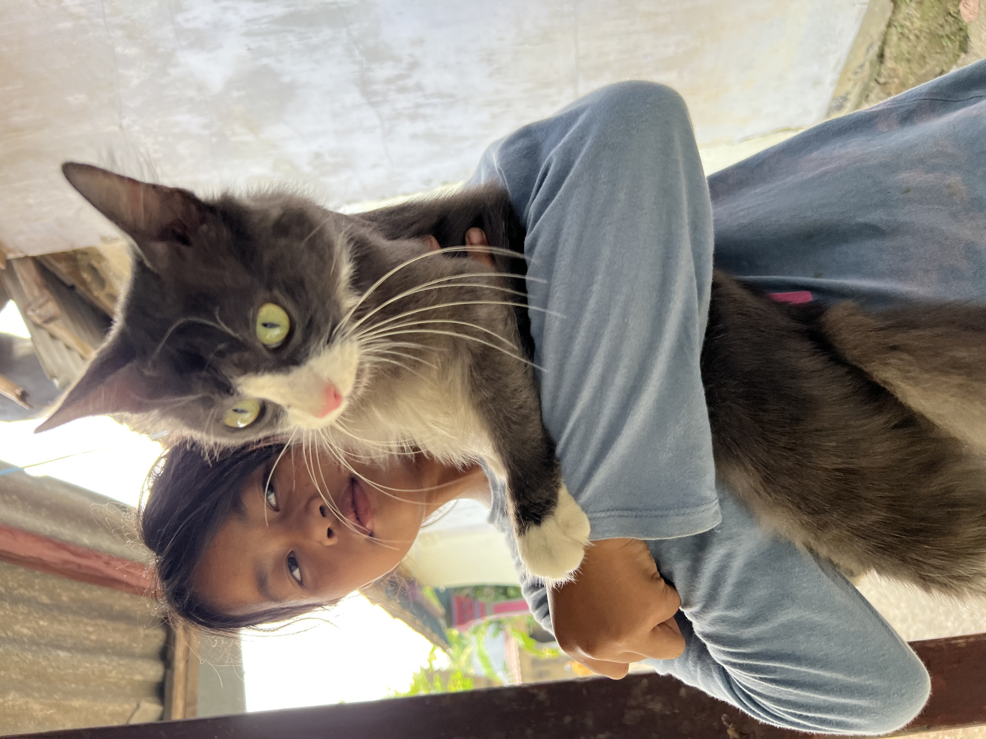 A young person, appearing to be a child, is holding a medium-sized gray and white cat in their arms, against a backdrop of an outdoor setting. The child, with dark hair, is looking to the left of the frame, their gaze directed away from the viewer. The cat is held securely, with its head and upper body visible, facing towards the right. The cat's green eyes are prominent, and it has long white whiskers. The child is wearing a light blue long-sleeved shirt. The background shows elements of a building with a corrugated roof and a wall. The overall scene suggests a casual, everyday moment. The location is identified as Gunung Putri, Indonesia.