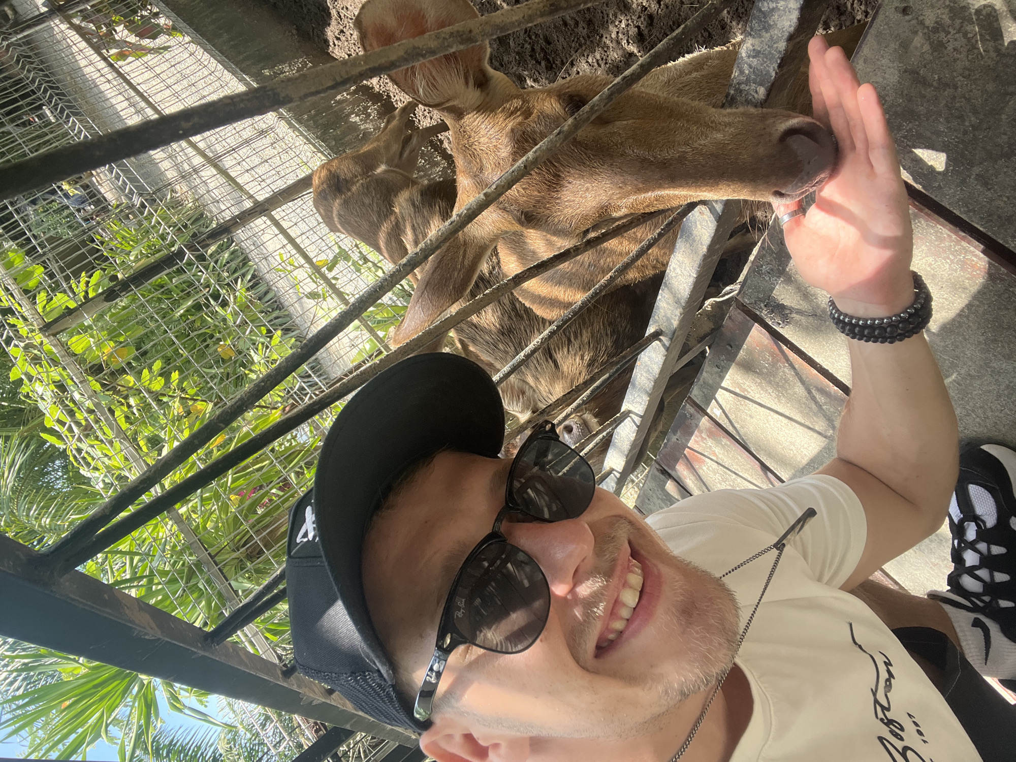 In Choeng Thale, Thailand, a Caucasian male wearing a black trucker hat, sunglasses, and a white t-shirt with a graphic print is taking a selfie. He is smiling and extending his open right hand, palm up, towards a brown deer behind a metal fence. The deer is reaching its head through the fence to eat from his hand. In the background, lush green foliage and a gravel path are visible. The environment appears to be an outdoor enclosure, possibly a zoo or wildlife sanctuary.