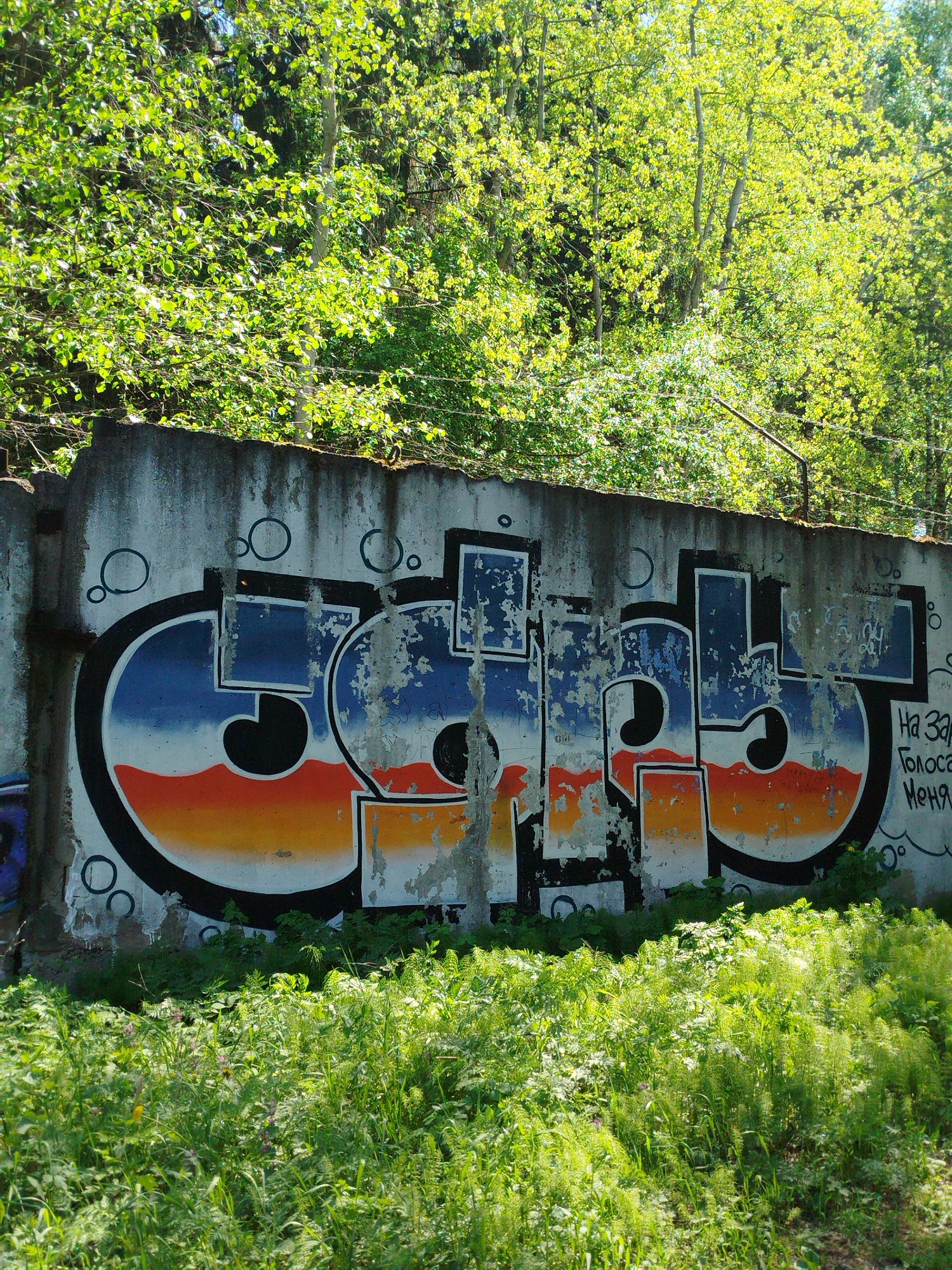 A concrete wall covered in graffiti stands in front of lush green foliage. The graffiti is in a stylized, modern font. The colors in the graffiti range from blue and white at the top, to orange and white at the bottom. The wall is also covered with peeling paint. The bottom of the wall is covered in bright green foliage. The environment is overgrown. There are no people visible in the image. The location appears to be in a city, but it is otherwise not identifiable.