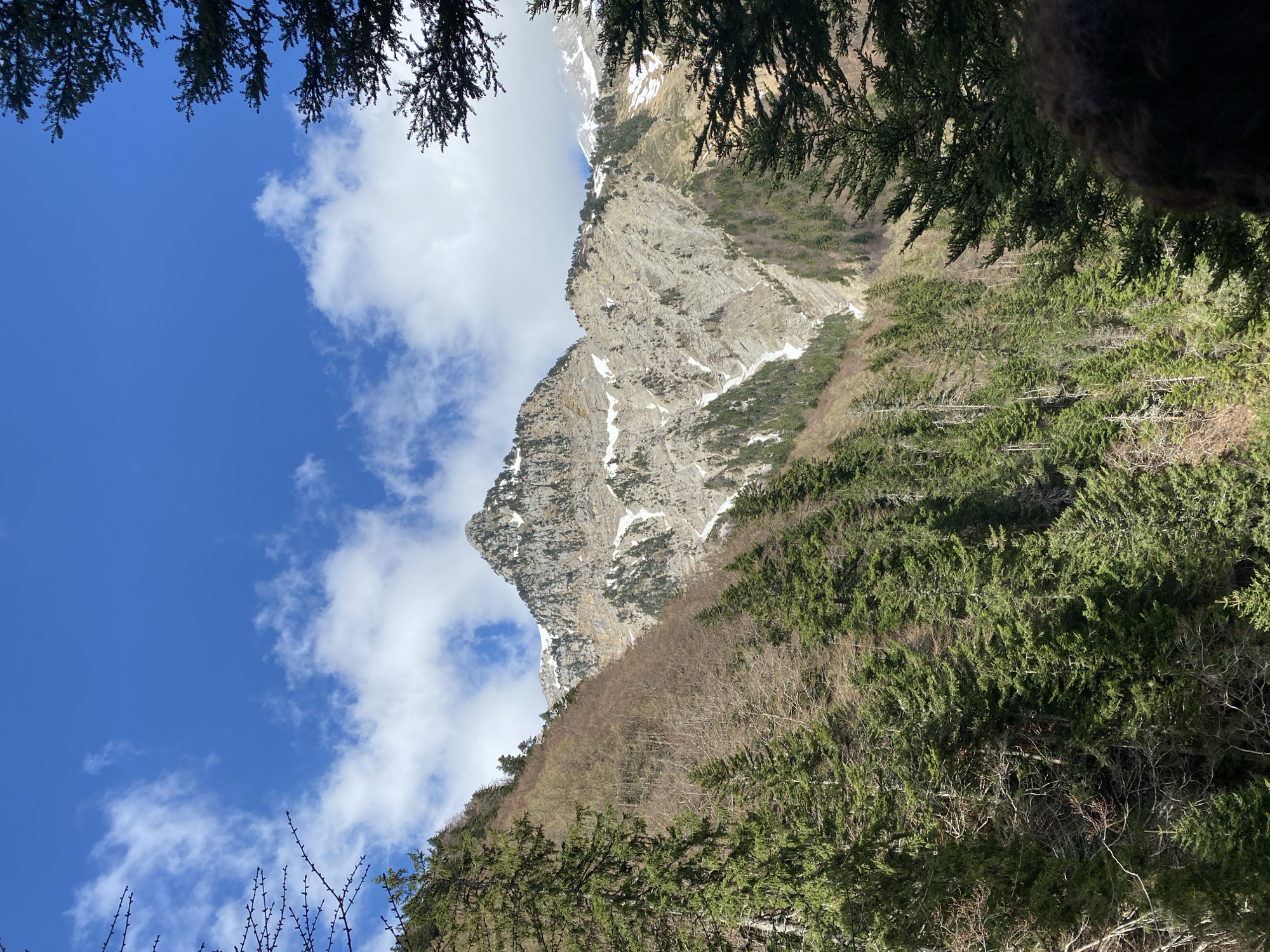 The image captures a mountainous landscape in Saint-Michel-les-Portes, France. A rugged, mostly bare mountain face dominates the scene, punctuated with patches of snow. The mountain is flanked by a dense forest of evergreen trees. The sky is a mix of clear blue and scattered white clouds. The perspective is from a lower elevation looking upwards towards the mountain peak. Tree branches partially obscure the upper portion of the frame, suggesting the viewpoint is within a forest.