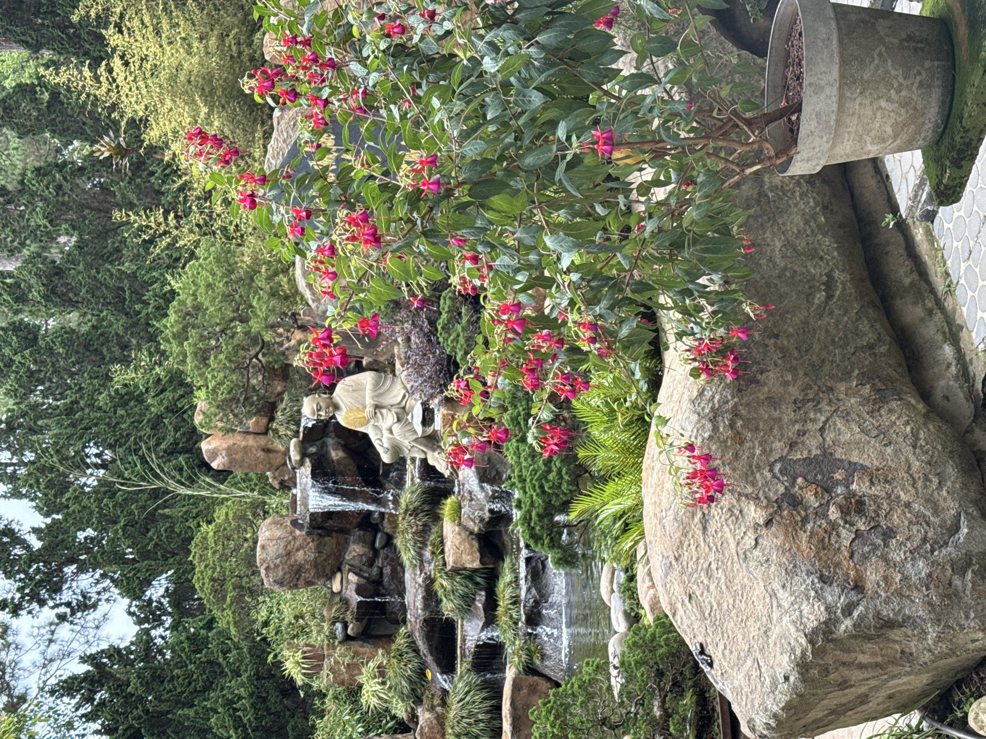This outdoor scene in Da Lat, Vietnam, shows a tiered waterfall cascading down a rock formation adorned with various plants and a statue. The statue depicts a figure seated with a fan, situated near the top of the waterfall. Lush greenery including trees, bushes, and ferns surrounds the waterfall structure. A large boulder is positioned to the right of the waterfall, partly covered by flowering plants. Above the boulder, a concrete planter containing more flowering plants sits near a tiled pathway.