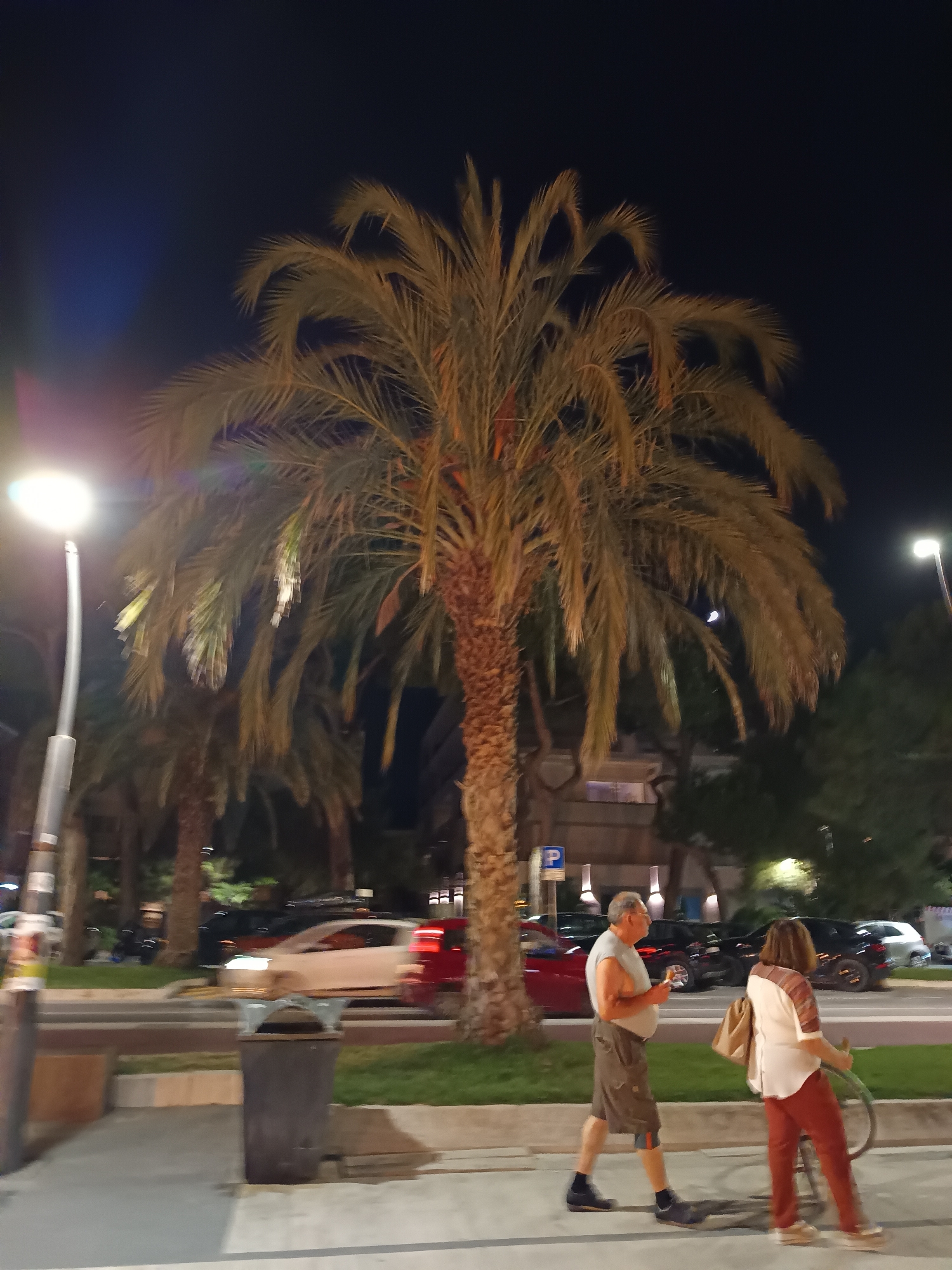 The image depicts a nighttime scene on a street lined with palm trees in Roseto degli Abruzzi, Italy. In the foreground, a man and a woman are walking on a sidewalk. The man, wearing a light-colored sleeveless shirt and brown shorts, is walking towards the left side of the frame and appears to be eating something. The woman, in a patterned shirt and reddish-brown pants, is walking towards the right, pushing a bicycle. Behind them, cars are visible on the street, with some appearing to be in motion. The street is illuminated by streetlights, casting a glow on the palm trees and the surrounding area. In the background, there are buildings and more trees. A trash bin is positioned on the sidewalk. The moon is faintly visible in the dark sky.