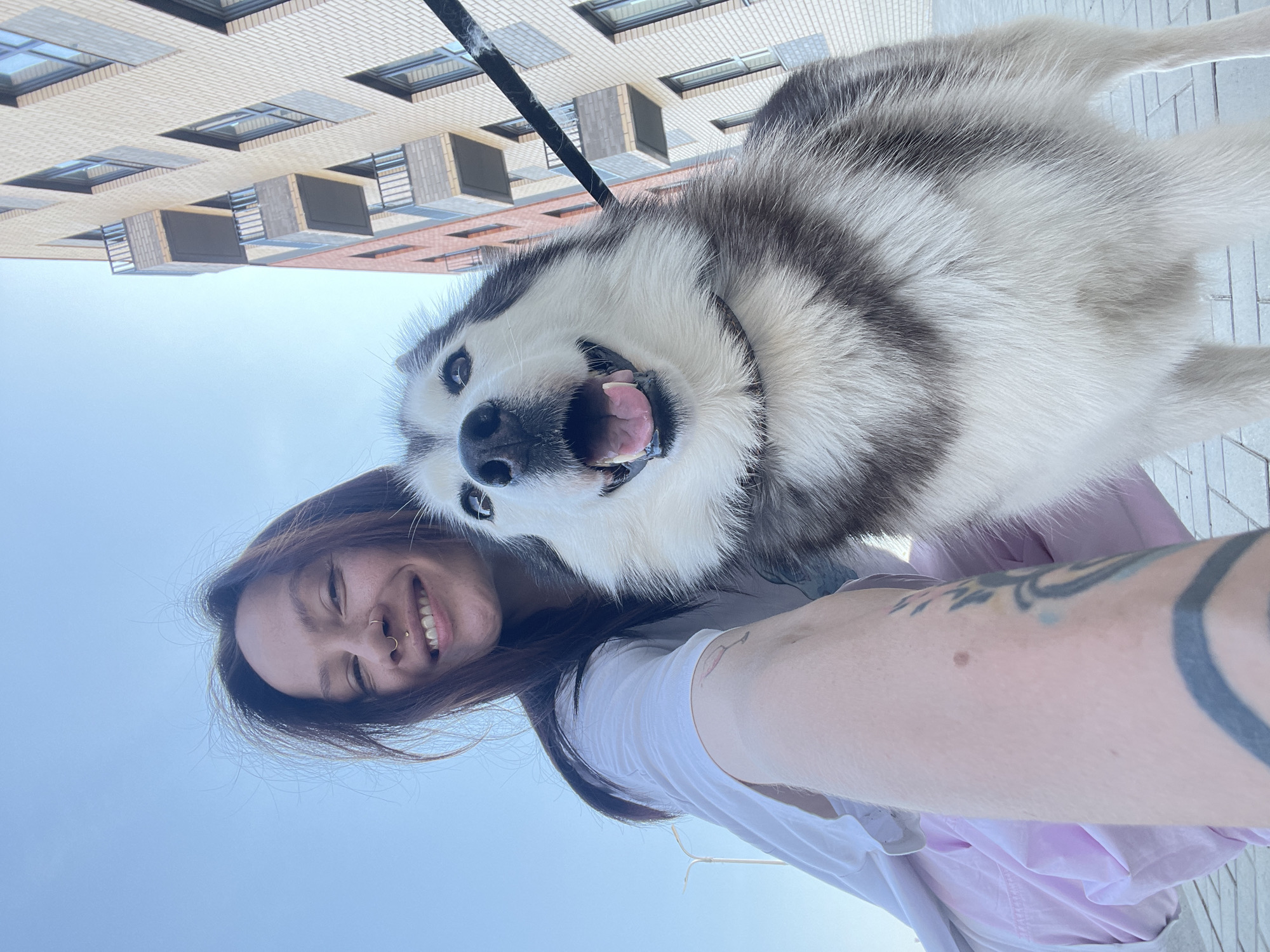 A selfie captures a young woman and a husky-type dog outdoors in Svetloe, Russia. The woman has dark hair and a nose ring, and she is smiling. She is wearing a white t-shirt. Her right arm, which is holding the camera, has tattoos. The husky, with black and white fur, is looking directly at the camera with its mouth open. A black leash is visible above the dog. Behind them is a building with multiple floors and windows, indicating an urban environment. The background also includes a clear blue sky. The setting seems to be a sunny day in the city.