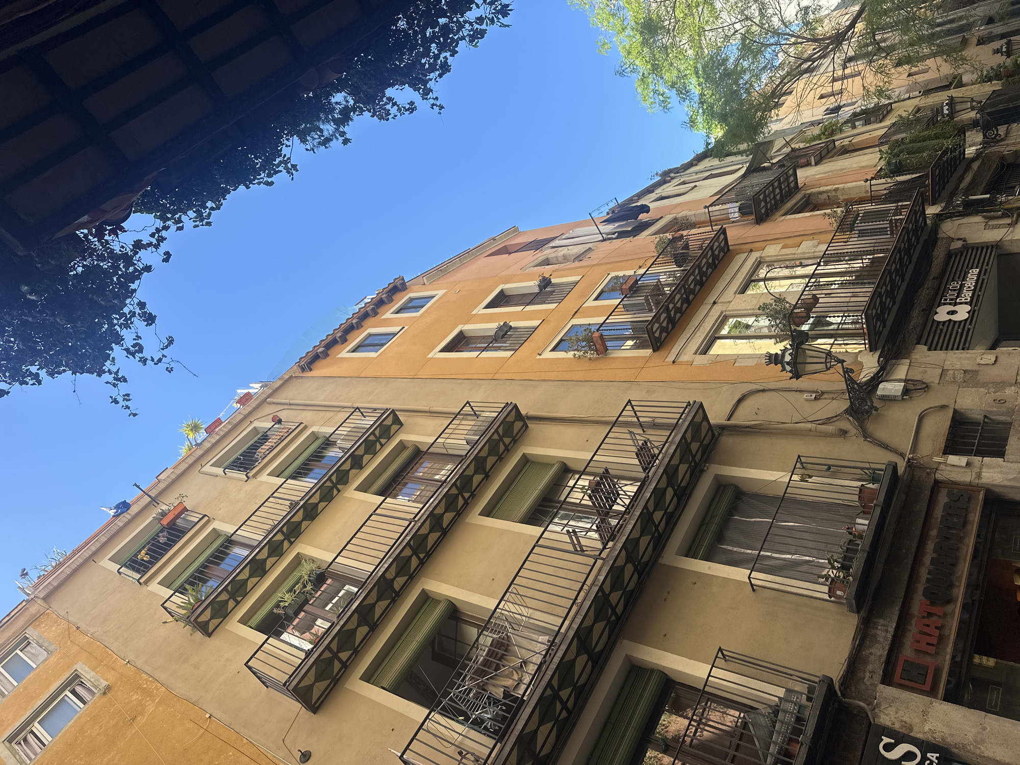 The image depicts a narrow street scene in Barcelona, Spain, looking upwards at the buildings. The buildings are multi-story, with a variety of window designs and wrought-iron balconies. Some balconies have plants. The buildings are painted in earth tones. The sky is visible between the buildings and framed by foliage from trees and roof overhangs. One business sign is visible on the right side of the frame.