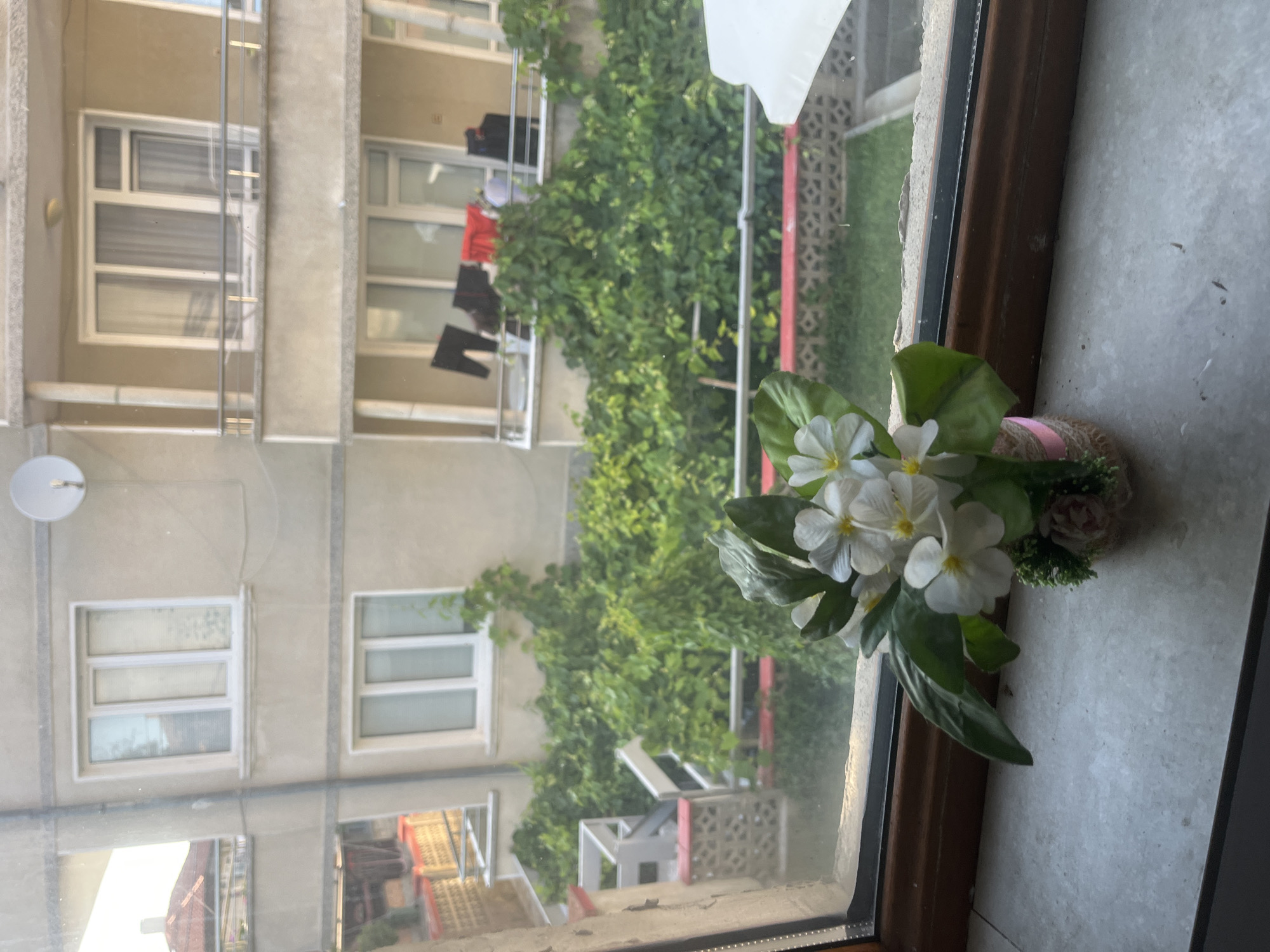 A view from an interior window looking out onto a residential building and overgrown greenery. In the foreground, on the windowsill, sits a small decorative arrangement of artificial white flowers in a woven pot adorned with pink ribbon. The flowers have yellow centers and green leaves.
The windowpane is dirty, obscuring the view slightly. Outside, a building with multiple stories and balconies is visible. Laundry hangs on a clothesline on one of the balconies. Lush green vines and bushes are growing vigorously, covering parts of the building's exterior and balconies. The scene suggests a warm, possibly summer, day.
The specific location is a residential building in the city of Obzor, Bulgaria. The image captures a mundane, everyday scene, likely from a private residence.