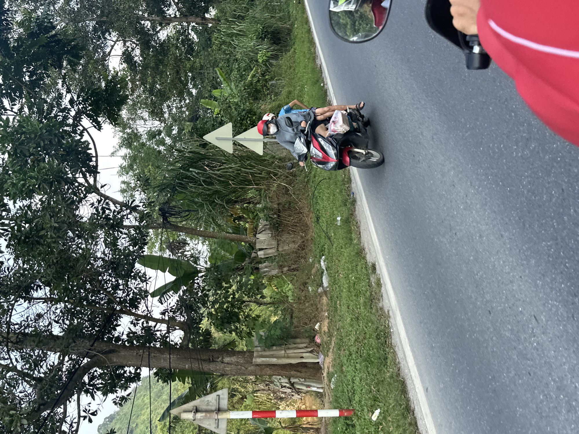An outdoor, daytime image captures a scene along a paved road, likely taken from a moving vehicle. The focal point is a red and black scooter carrying two individuals.
The driver, an adult, is wearing a grey hoodie, a red helmet with a white stripe, and a white face mask. Behind the driver, a smaller person, possibly a child, is lying horizontally across the back seat of the scooter. This passenger is dressed in a light blue top and shorts, with sandals on their feet, and their head rests near the driver's back. A white plastic bag is visible on the scooter near the child's feet.
The road is dark grey asphalt with a white line marking its edge. To the left, a green roadside verge is abundant with grass and dense vegetation, including tall, leafy trees, bushes, and broad-leafed plants that resemble banana leaves. Some discarded litter is visible on the grass. Two white triangular road signs with black arrow outlines, both pointing to the left, are mounted on poles within the vegetation. Lower down, a red and white striped pole or barrier is partially seen. The background, faintly visible through the trees, suggests a hilly or mountainous landscape.
On the right side of the image, the photographer's perspective is evident, with a rearview mirror showing a reflection of a helmeted person, and a person's arm in a red sleeve holding onto a part of the vehicle. The scene depicts travel on a rural or semi-rural road during clear daylight hours. There is no visible text in the image.