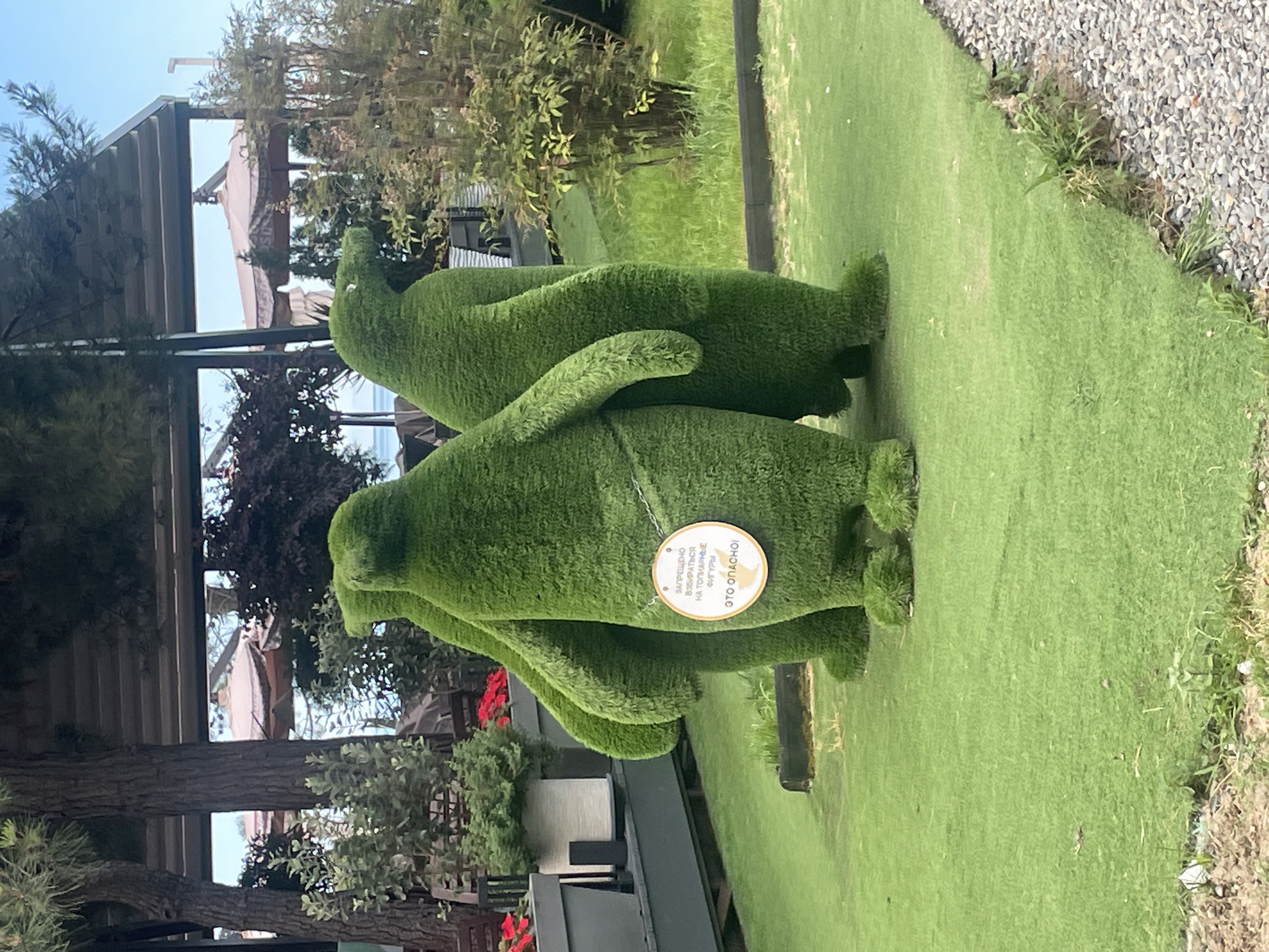 The image depicts an outdoor scene in Sochi, Russia, likely a park or recreational area, with two large green topiary figures resembling penguins. They are situated on a lawn of artificial turf, with a gravel path to the right. Behind the topiaries, there are trees, bushes, and a glimpse of the sea in the distance, suggesting a coastal location. A few potted plants and outdoor seating are visible in the background, along with a covered structure with umbrellas. A circular sign is hanging from one of the topiary penguins, which reads in Russian "DO NOT CLIMB ON THE TOPIARY FIGURES. IT IS DANGEROUS!" The figures are robust and detailed, sculpted from green foliage. The overall impression is a well-maintained, possibly tourist-oriented, outdoor space.