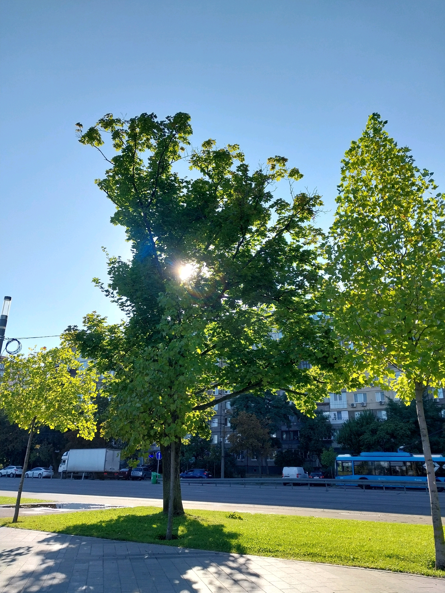 The image captures a street scene in Dnipro, Ukraine, under a clear blue sky. In the foreground, a paved sidewalk is partially shaded by trees. To the right, a bright green grassy area is illuminated by sunlight. Beyond this, a multi-lane road is visible with various vehicles, including a white truck, several cars, and a prominent blue bus. Trees line the road, with buildings and more trees in the background. The sun is shining brightly, casting shadows and creating lens flares through the leaves of the trees, particularly on the left side of the frame.