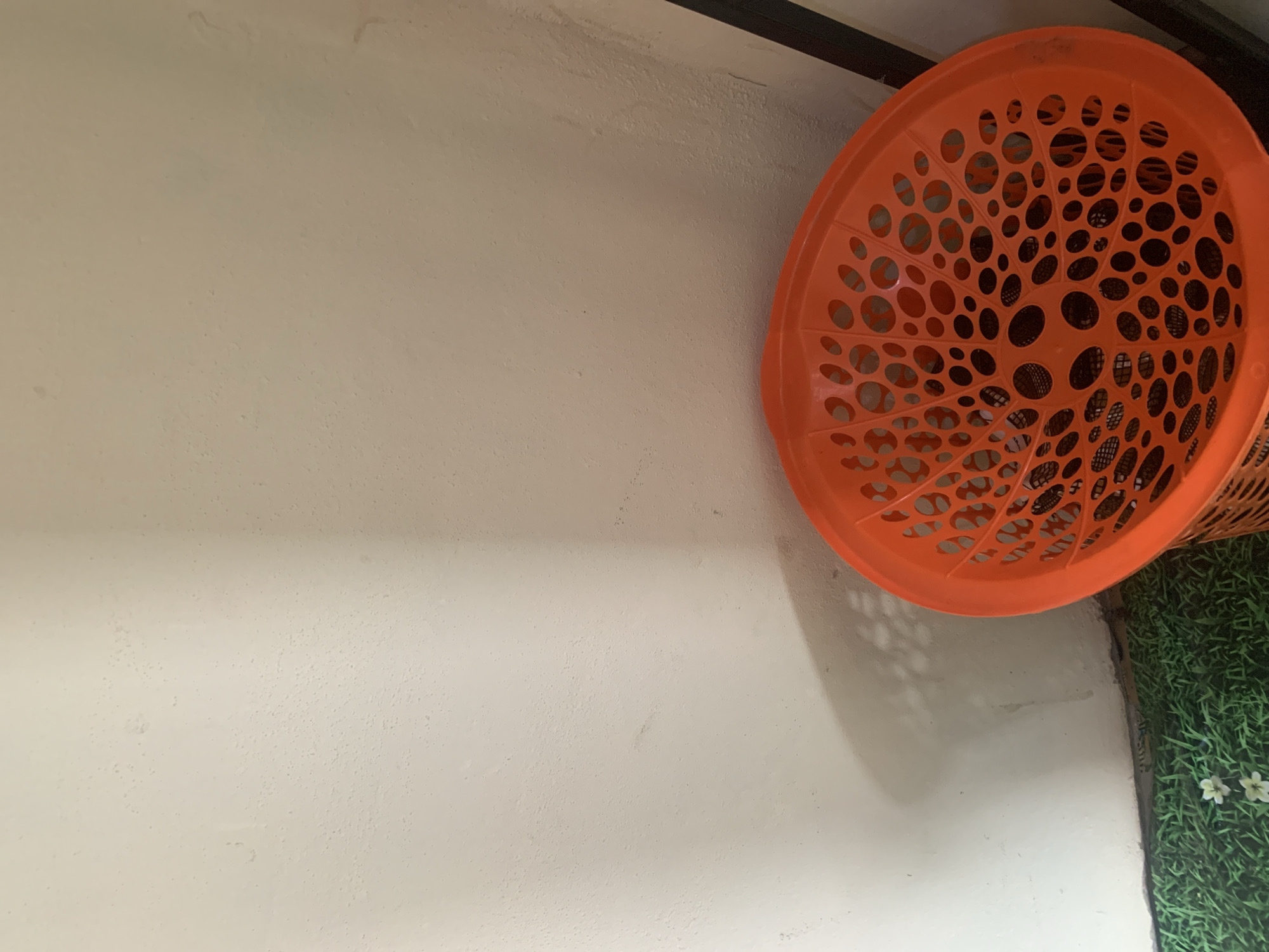 An orange plastic laundry basket with a circular pattern of holes is placed on a green grassy surface in front of a textured off-white wall. A shadow of the basket is cast on the wall. A dark vertical object, possibly a pole or part of furniture, is visible on the right side of the image. Two small white flowers are on the grass. The scene appears to be indoors, likely in a residential setting in Jauro Yinu, Nigeria.