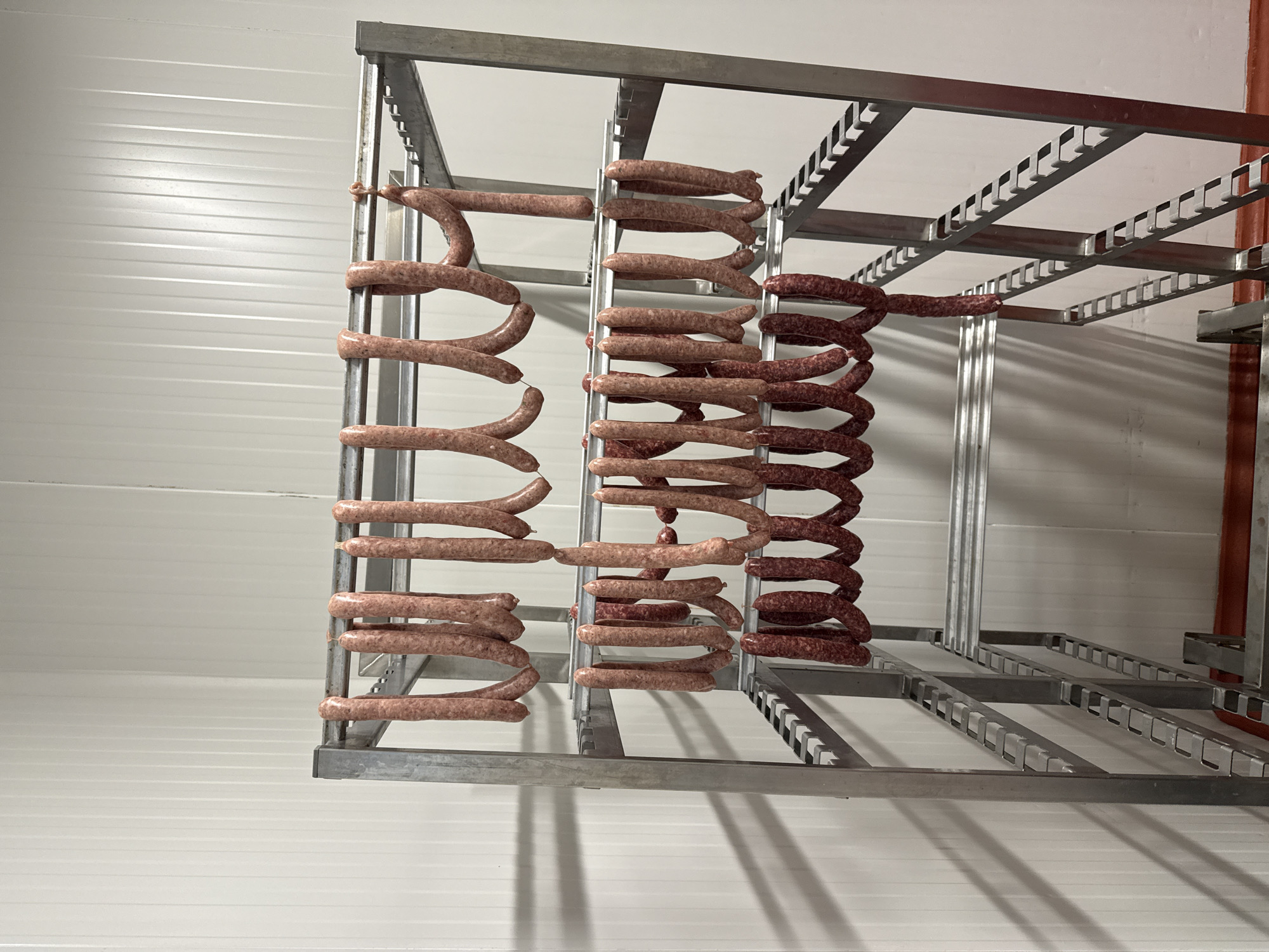 The image shows rows of sausages hanging on a metal rack inside a cold storage room. The sausages on the left side of the rack are lighter in color compared to the sausages on the right side, which are darker, suggesting a difference in composition or preparation. The cold storage room has white, horizontally-grooved walls. Based on the prompt, this scene is taking place in Stara Zagora, Bulgaria. No people are visible.