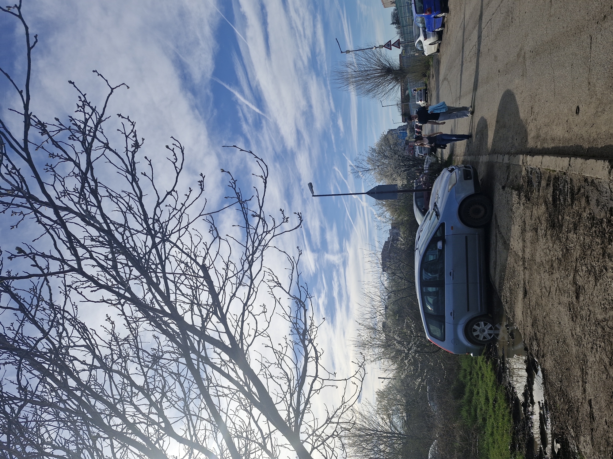 A horizontal medium shot captures a street scene in Sofia, Bulgaria. A bare tree fills the left foreground, its branches reaching upwards towards a sky streaked with clouds and contrails. To the right, a silver car is parked on the side of the road, near a puddle and some grass. In the background, figures of people are visible walking along the street, and other parked cars line the roadside, near an intersection marked by signs. A lamppost stands along the roadside in the middle of the frame.