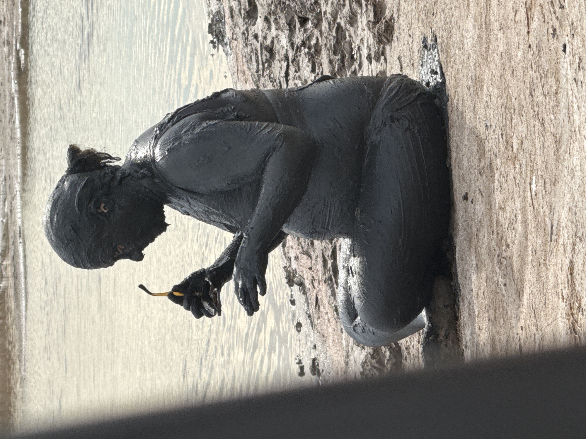 A person covered in dark mud is sitting on the shore of a body of water. The person is facing left and holding a small yellow object in their right hand. The water behind the person is calm with ripples reflecting the light. The shore is made of textured, light brown dirt and rocks. A dark, blurry foreground element is present on the left side of the image. The overall scene appears to be an outdoor natural setting.