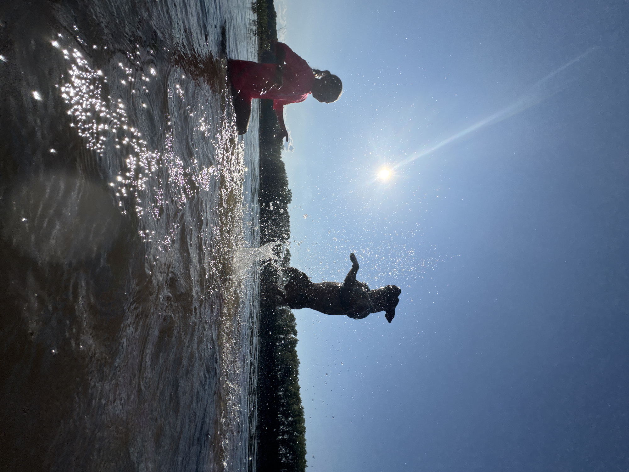 A silhouette of a girl in a pink swimsuit sits in shallow water, her hands extended. To her right, a dog leaps out of the water, its body silhouetted against a bright sun in a clear blue sky. Splashes of water are visible around the dog. The background shows a line of trees. The image is taken from a low angle, with the sun shining brightly, creating a lens flare effect. The water is choppy with sunlight reflecting off the surface.