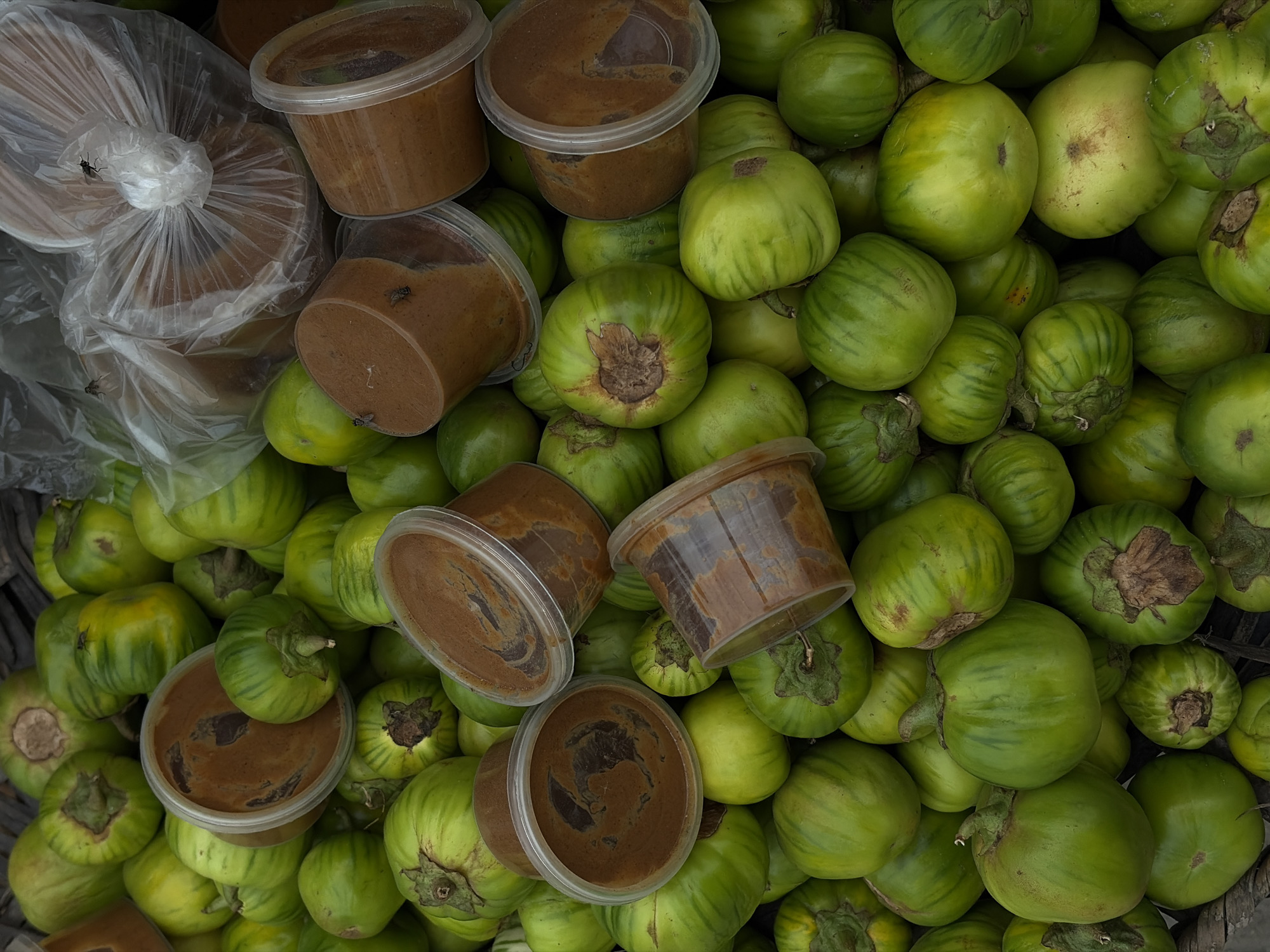 This is an overhead, close-up shot of a market stall in Igboefon, Nigeria, filled with green eggplants and plastic containers of brown paste. The eggplants are round with ribbed skin and vary in size, some exhibiting light green stripes. Several clear plastic containers, filled with a thick, dark brown paste, are scattered amongst the produce. Some of these containers are covered with clear plastic wrap, and three flies are visible on the plastic wrap covering some of the containers. The scene appears to be a vendor's display, ready for sale.
