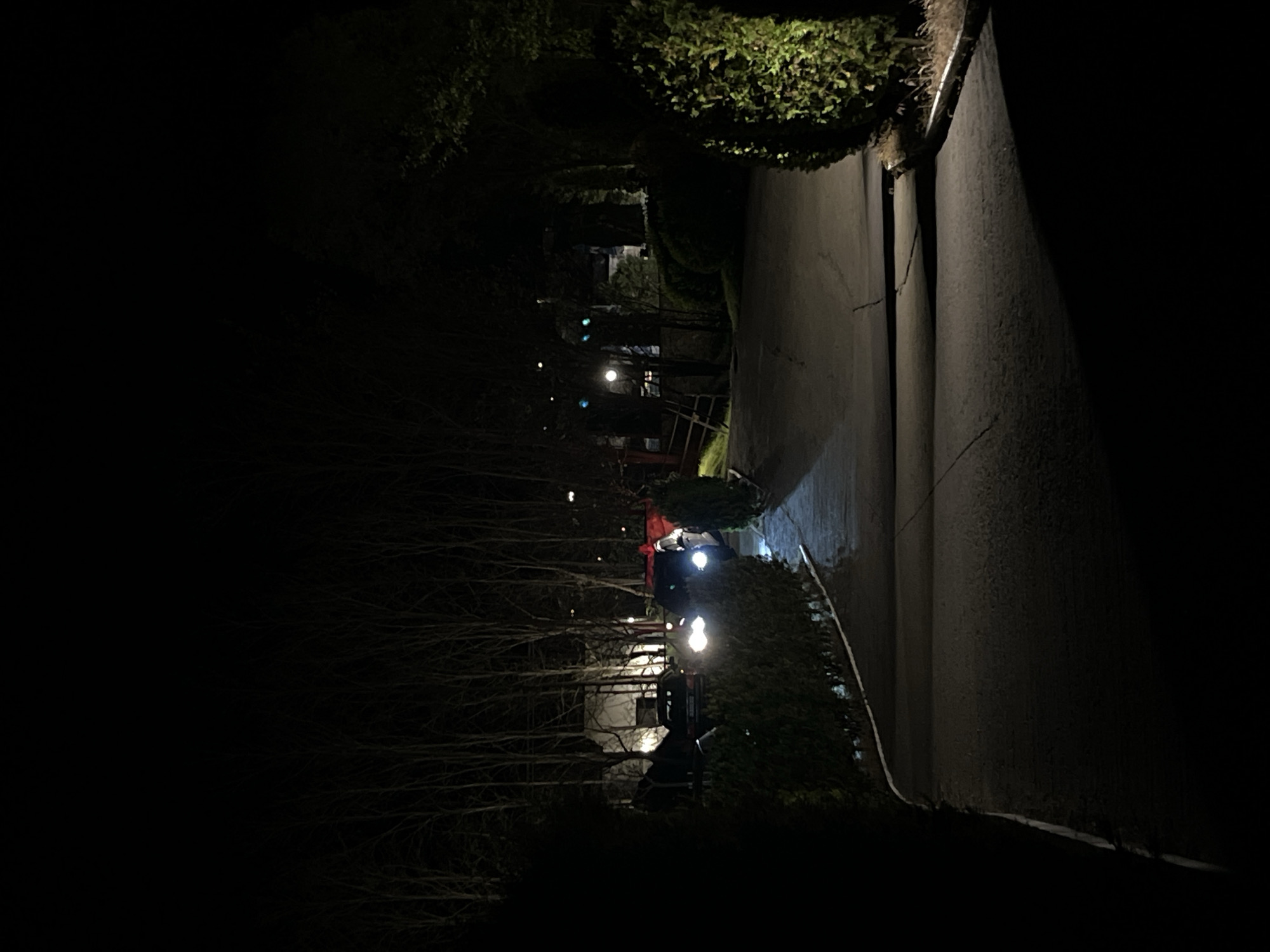 An exterior, low-angle shot depicts a dimly lit, narrow road flanked by dense shrubbery and trees. The perspective suggests a street or driveway in a suburban area. In the distance, the faint glow of residential lights suggests a house or building. A vehicle with headlights on is visible along the road. The road surface appears to be asphalt. This image was taken at night in what seems to be the city of Koprivlen, Bulgaria.