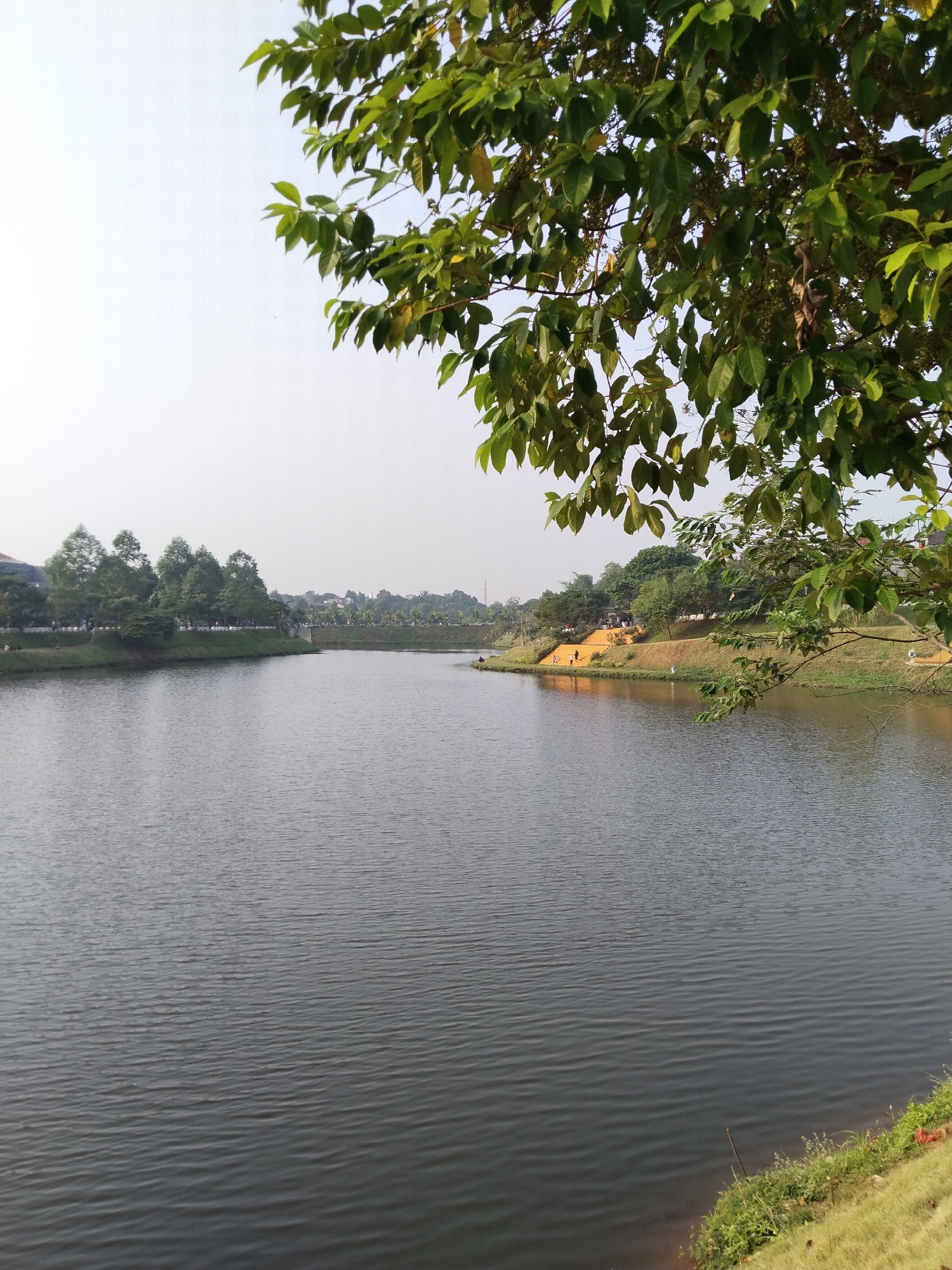 The image depicts a scenic view of a lake in Depok, Indonesia. The foreground is dominated by the calm, dark water of the lake, with subtle ripples indicating a gentle breeze. On the right bank, there is a grassy slope with some vegetation and a hint of orange dirt. In the middle ground, the opposite bank of the lake is visible, featuring a well-maintained park area. Lush green trees line the bank, and a path with yellow stairs is prominent, with several people walking on it. Further in the background, more trees and buildings can be seen, suggesting an urban or semi-urban setting. The sky is clear and bright, with a pale haze. The upper right corner of the image is framed by the lush green leaves of a tree, casting a slight shadow on the scene below.