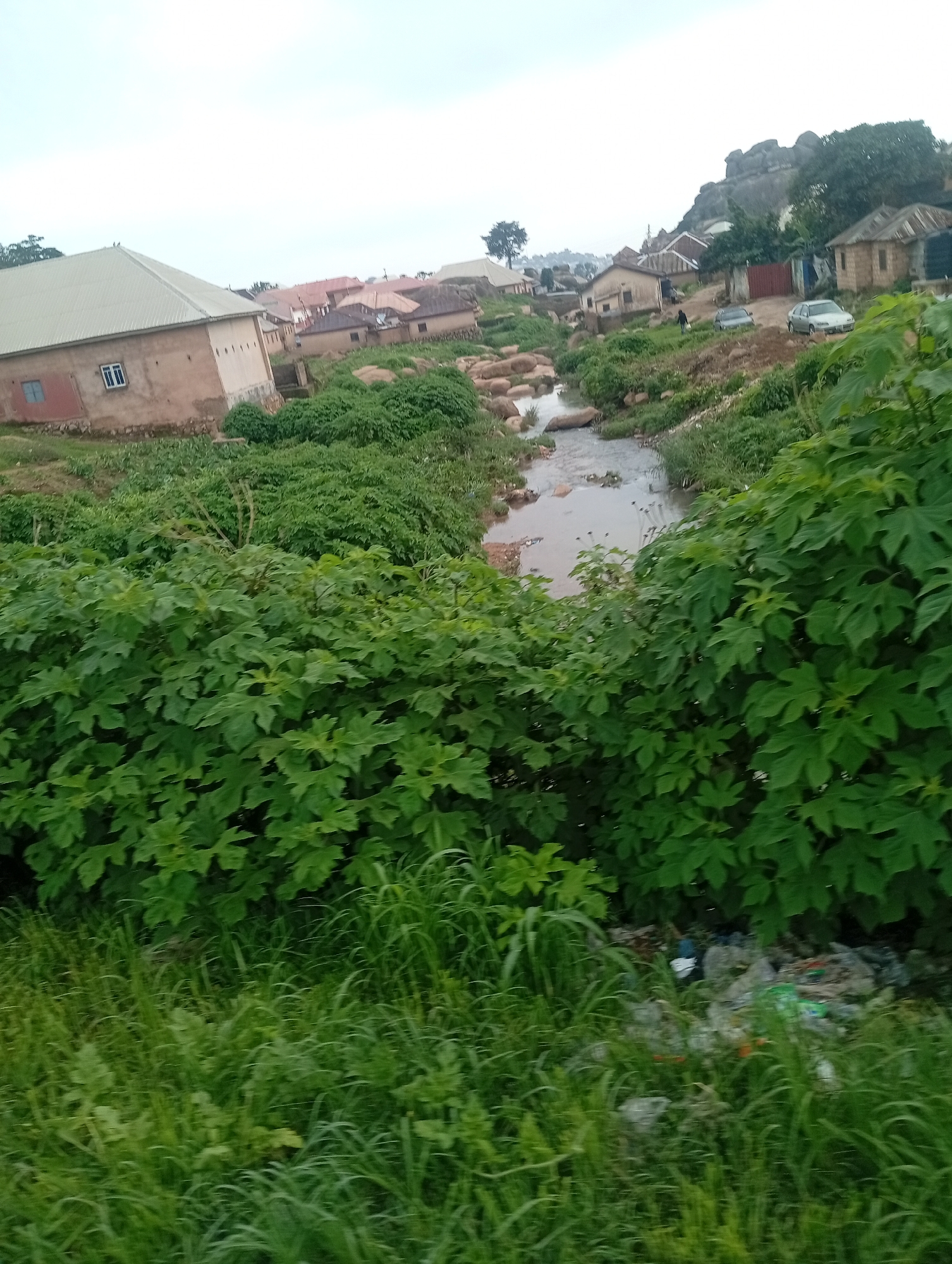 The image captures a scene in Jos, Nigeria, showcasing a residential area with a natural watercourse running through it. In the foreground, lush green foliage dominates, with large-leafed plants and tall grasses lining the embankment. A small, muddy stream flows from the upper left to the lower right of the frame, its banks dotted with rocks and sparse vegetation.
Further into the scene, a cluster of residential buildings is visible. One prominent house on the left features a light-colored, corrugated metal roof and a tan-colored wall with a single window. Other houses, constructed with earth tones and varying roof materials, are scattered along the slightly elevated terrain. Two cars are parked on a dirt path amidst the buildings, with one individual walking near them.
The background reveals a rocky outcrop or hill, a common geographical feature in Jos, with more vegetation and buildings interspersed. The sky is overcast, suggesting a cloudy day. The overall impression is of a lived-in urban environment integrated with natural elements and somewhat affected by litter, as evidenced by scattered plastic waste near the greenery.