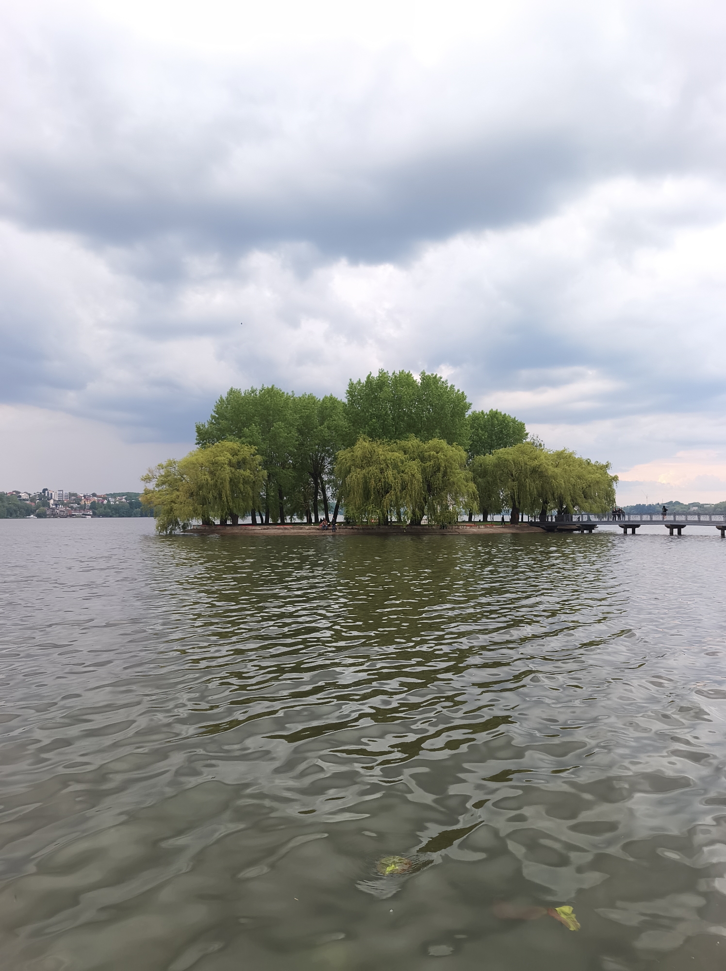 The image depicts an island covered in trees in the middle of a body of water, likely a lake or wide river. The sky is overcast with grey clouds. In the distance, on the left of the frame, a cityscape can be seen. A pedestrian bridge connects the island to the shore on the right of the image. Based on the location, the island is likely "Island of Lovers" on Ternopil Pond (lake) in the city of Ternopil, Ukraine. There are people visible on the island and on the bridge. The water is grey and rippled.